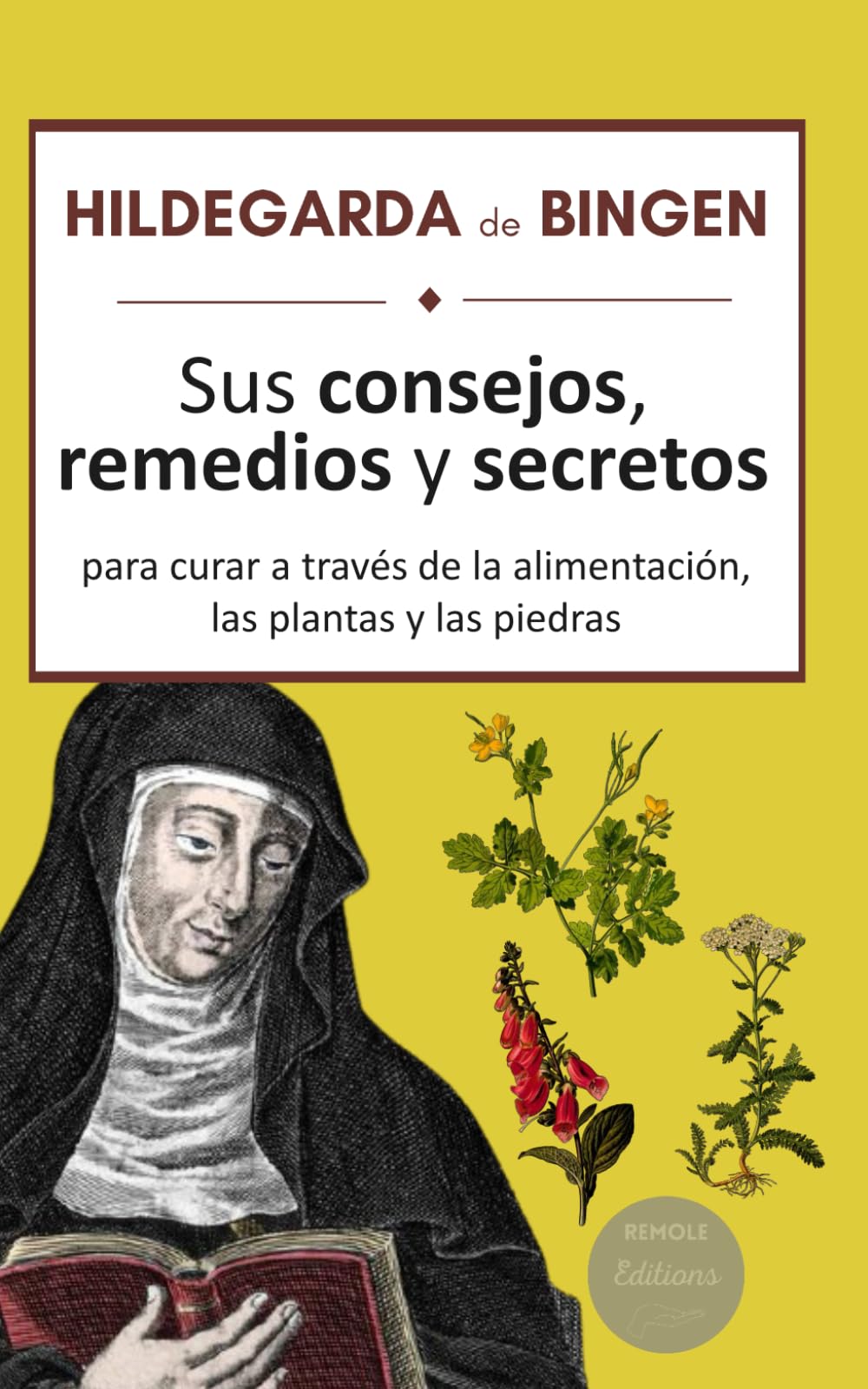 Libro: Hildegarda de Bingen: sus consejos, remedios y secretos para curar a través de la alimentación, las plantas y las piedras