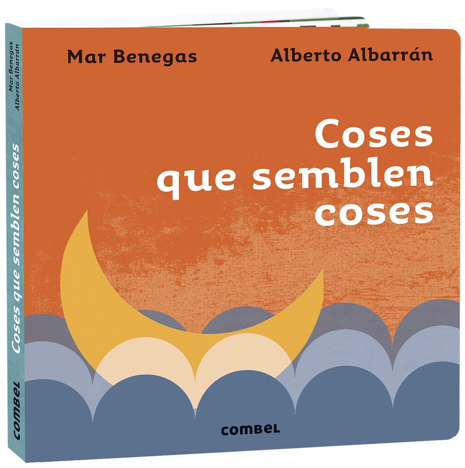 Libro: Coses Que Semblen Coses (FONDO)