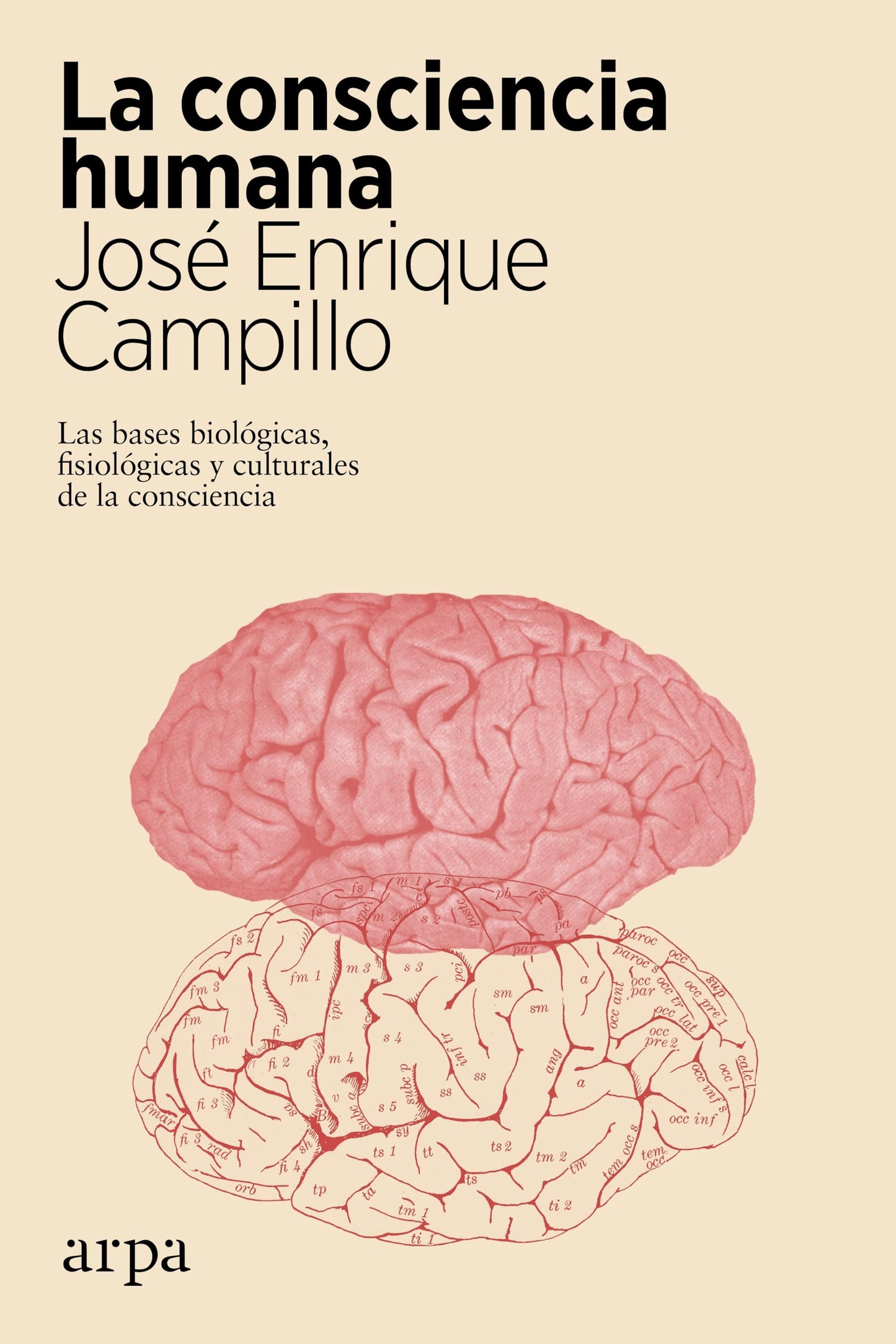 Libro: La consciencia humana: Las bases biológicas, fisiológicas y culturales de la consciencia (Ciencia)