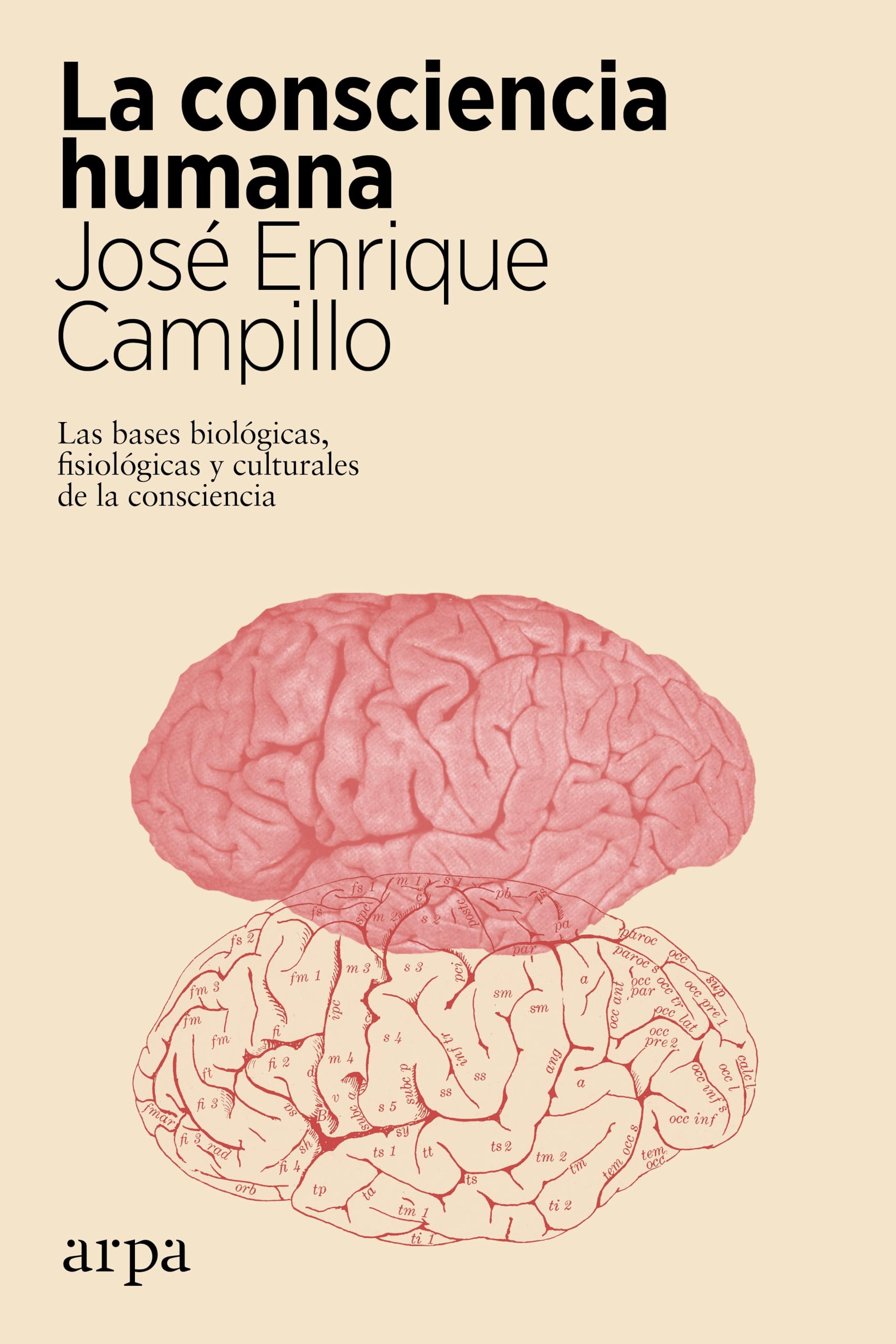 Libro: La consciencia humana: Las bases biológicas, fisiológicas y culturales de la consciencia (Ciencia)