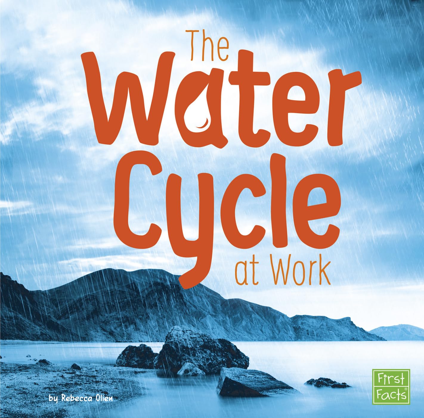 Libro: The Water Cycle at Work (Water in Our World)