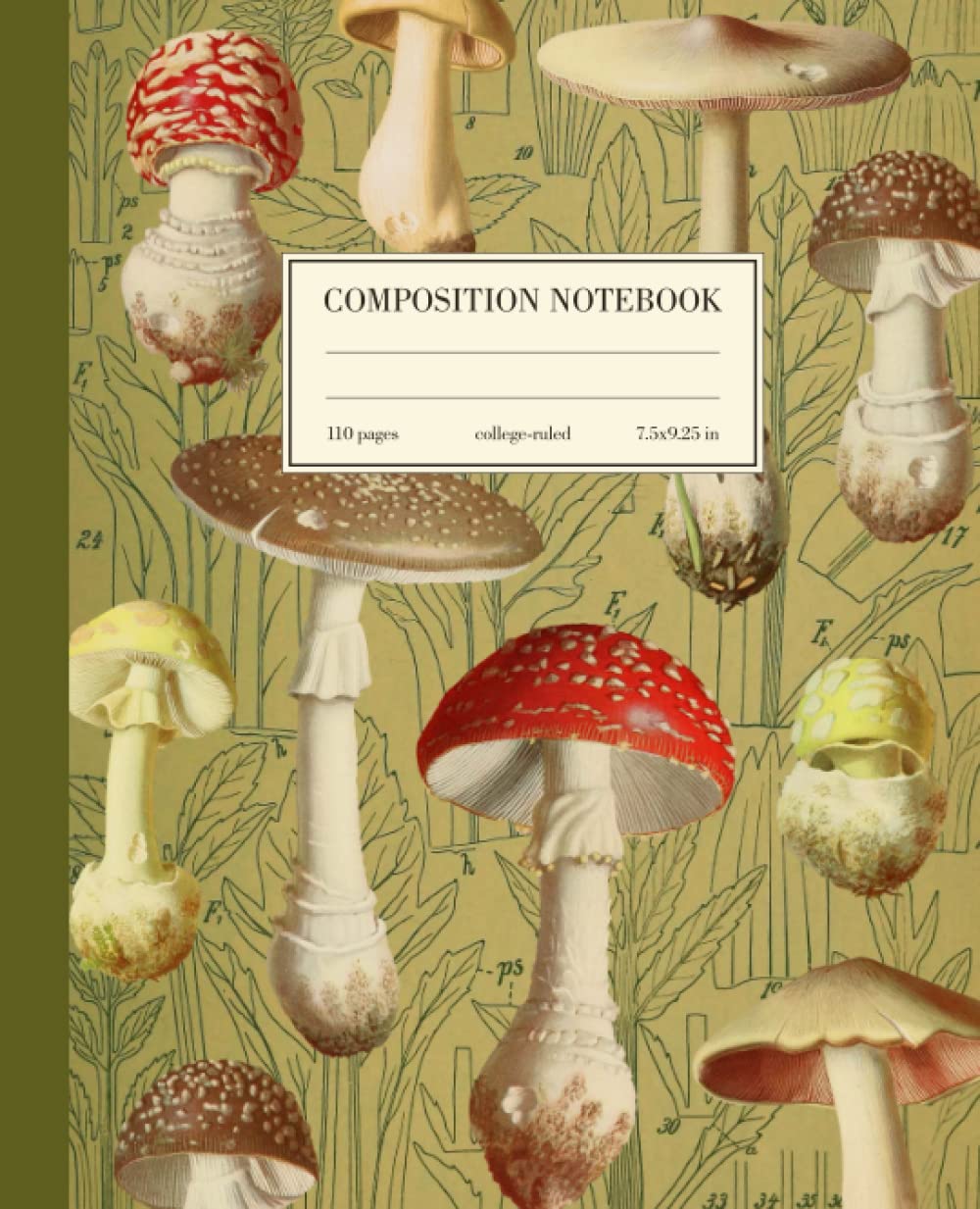 Libro: Composition Notebook College Ruled: Mushroom Vintage Botanical Illustration | Cute Green Aesthetic Journal For School, College, Office, Work | Wide Lined