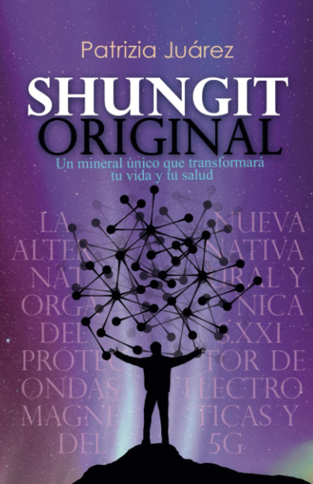 Libro: Shungit original: Un mineral único que transformará tu vida y tu salud (Spanish Edition)