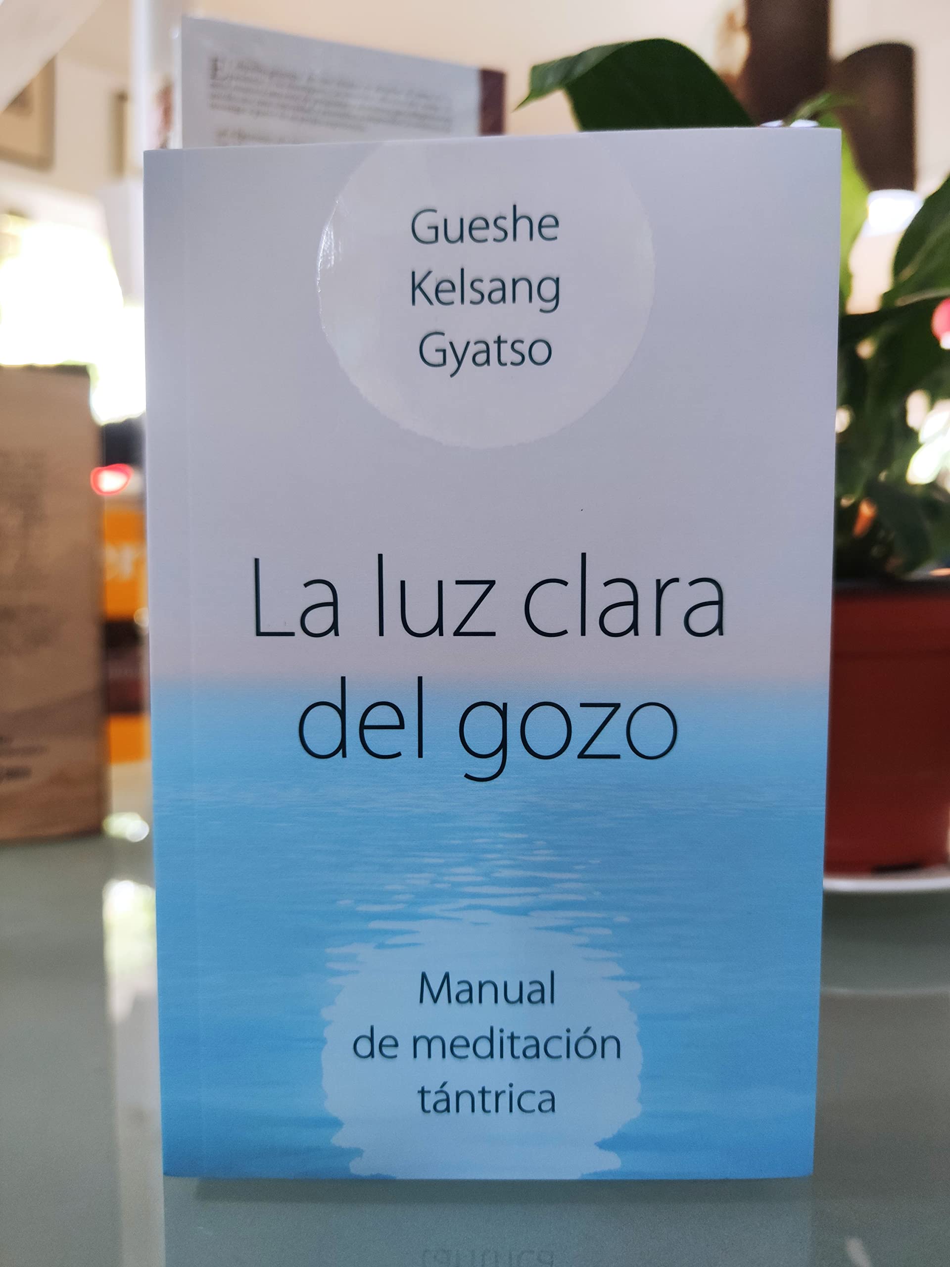 Libro: La luz clara del gozo: Manual de meditación tántrica (SIN COLECCION)