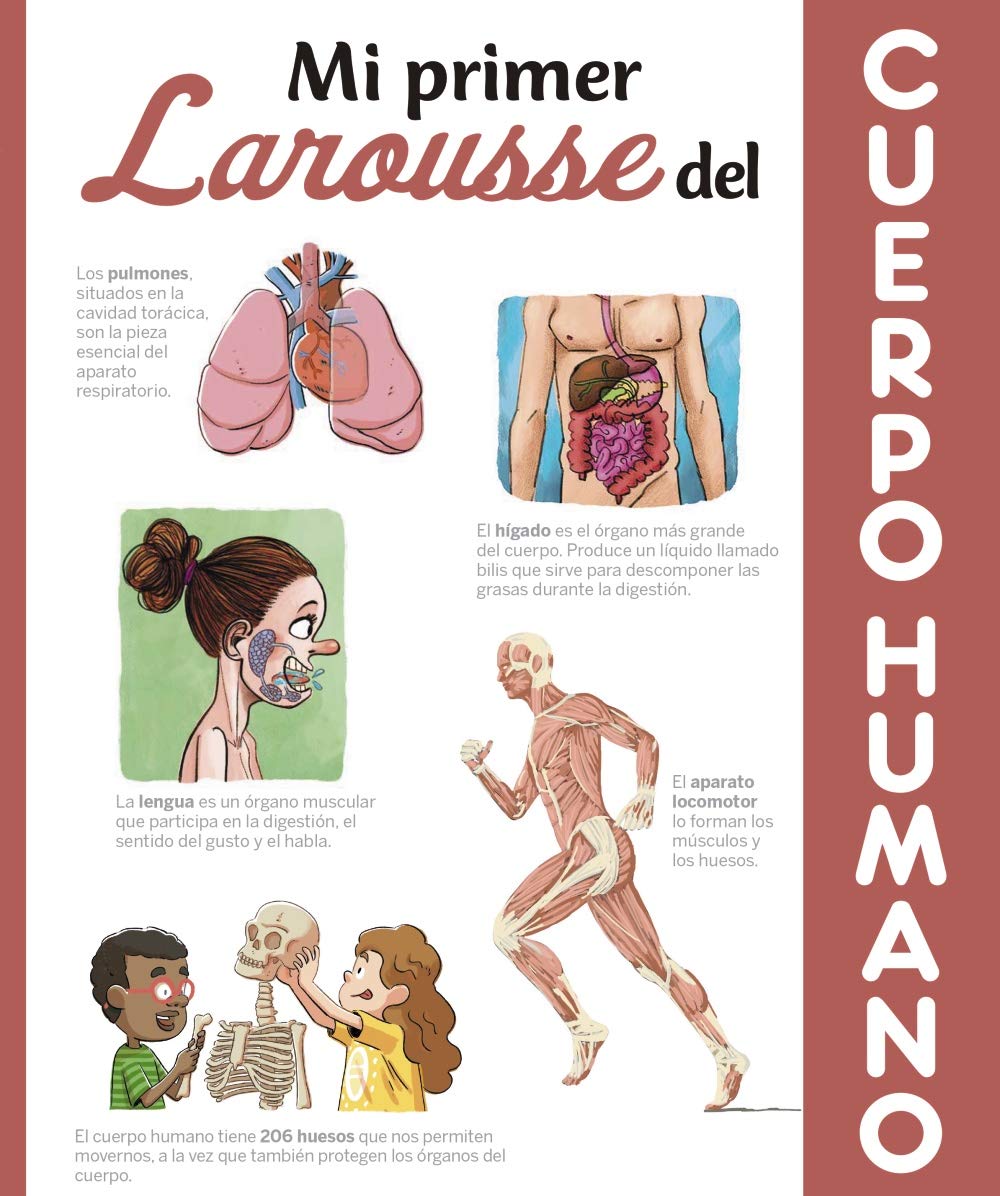 Libro: Mi primer Larousse del cuerpo humano (LAROUSSE - Infantil / Juvenil - Castellano - A partir de 8 años)