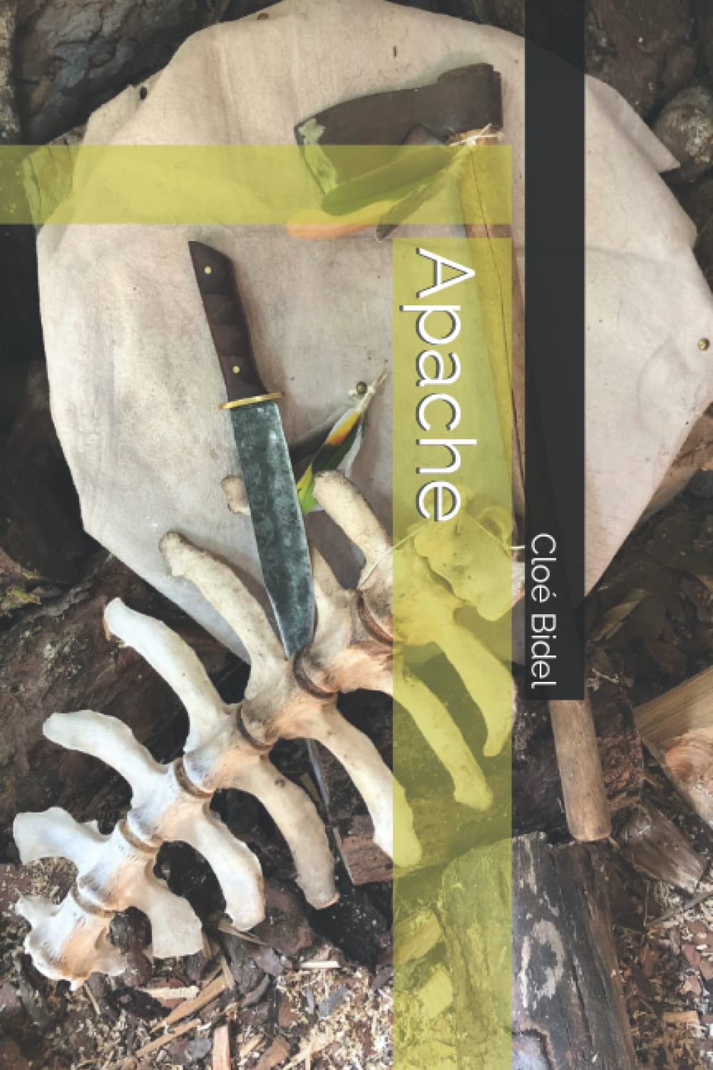 Libro: Apache (Spanish Edition)