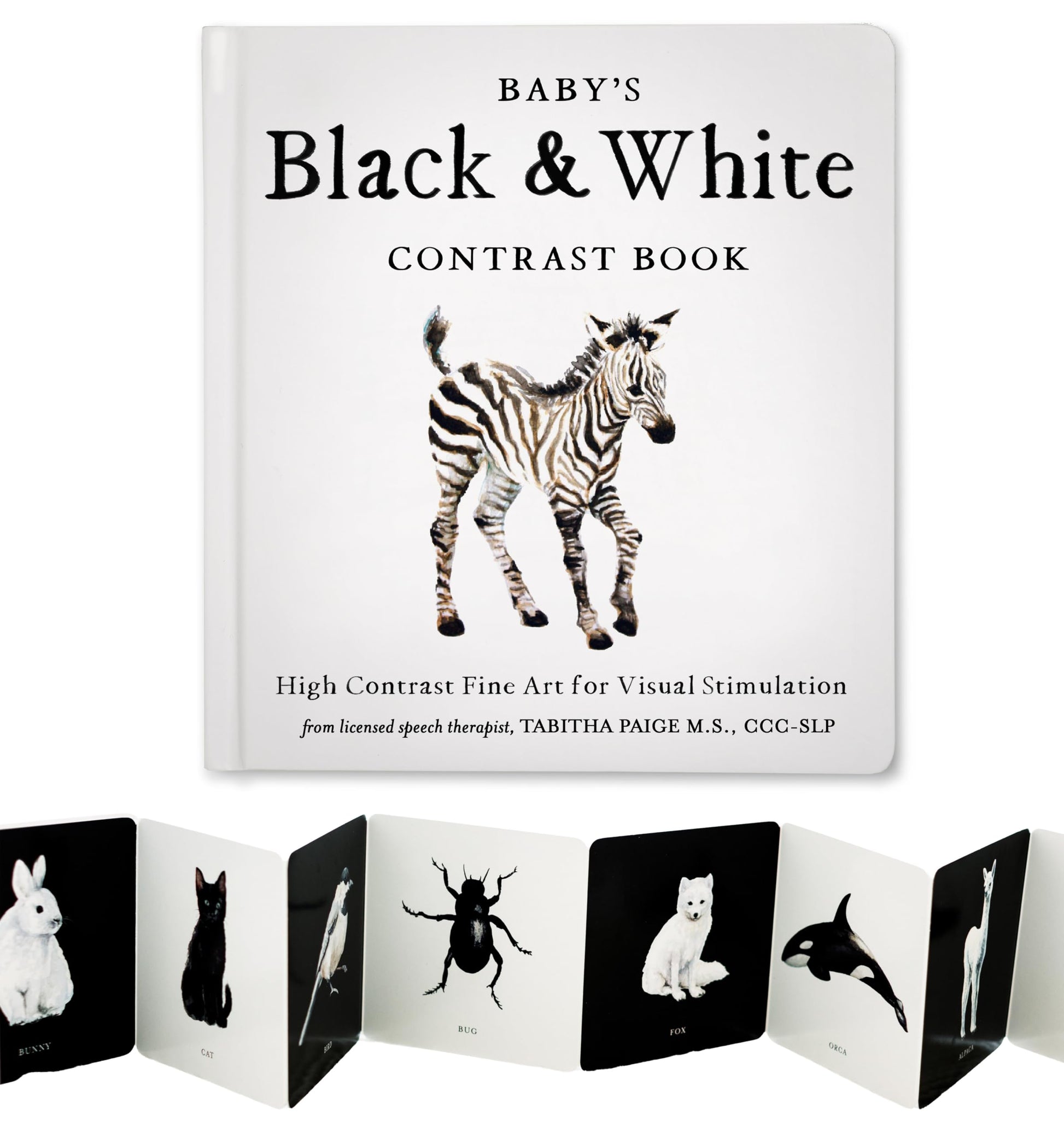 Baby's Black and White Contrast Book: High-Contrast Art for Visual Stimulation at Tummy Time: 4 (Our Little Adventures Series)