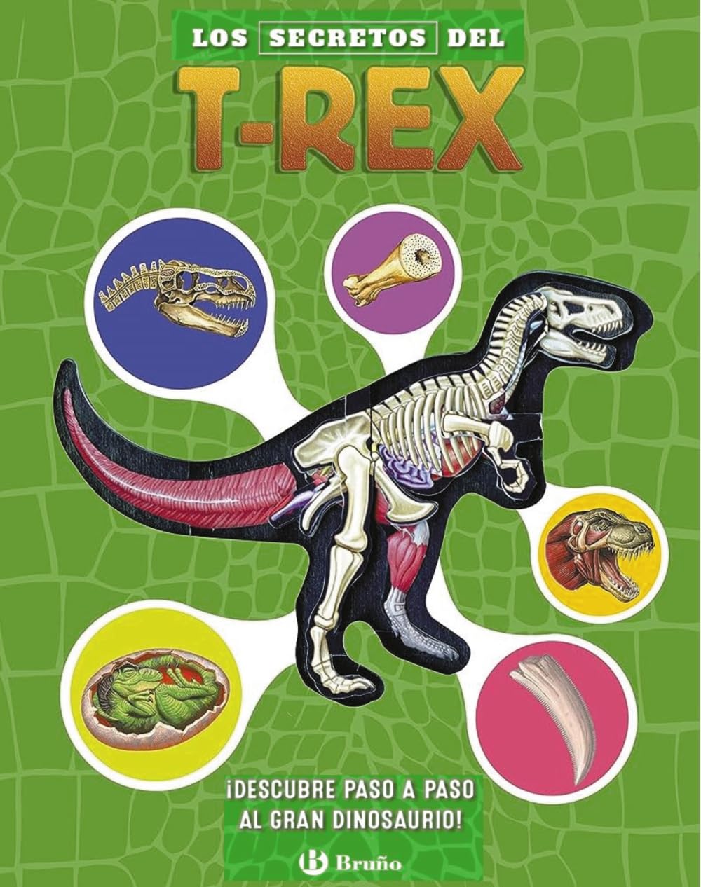 Libro: Los secretos del T. rex: ¡Descubre paso a paso al gran dinosaurio!