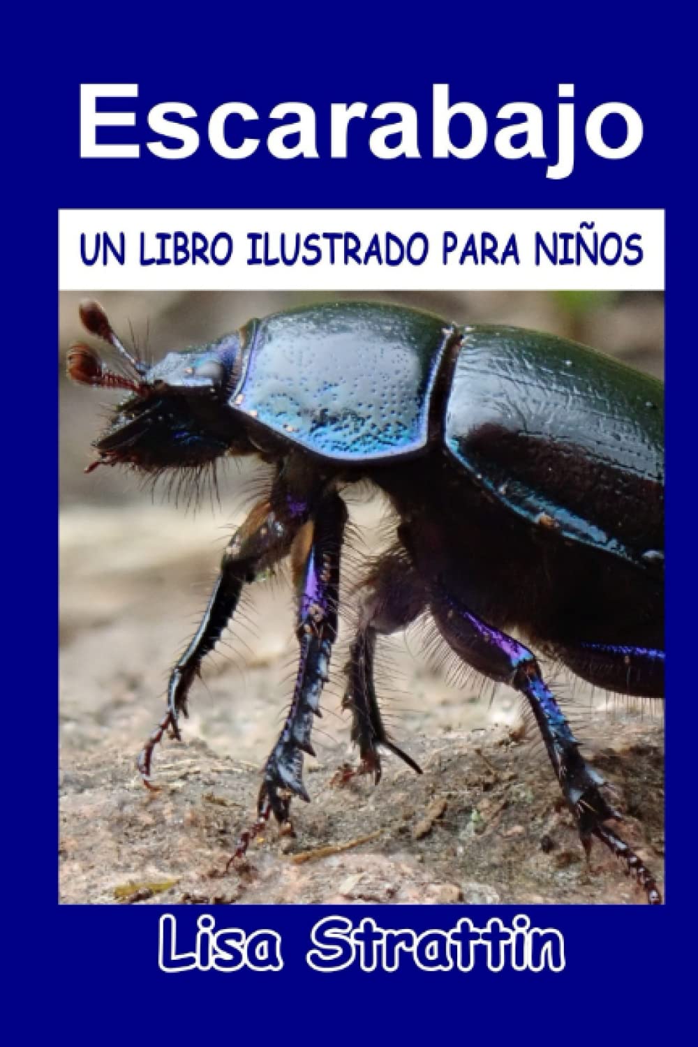 Libro: Escarabajo: LIBRO EN ESPAÑOL PARA NIÑOS DE 6-8 AÑOS (Libros Ilustrados para Niños)
