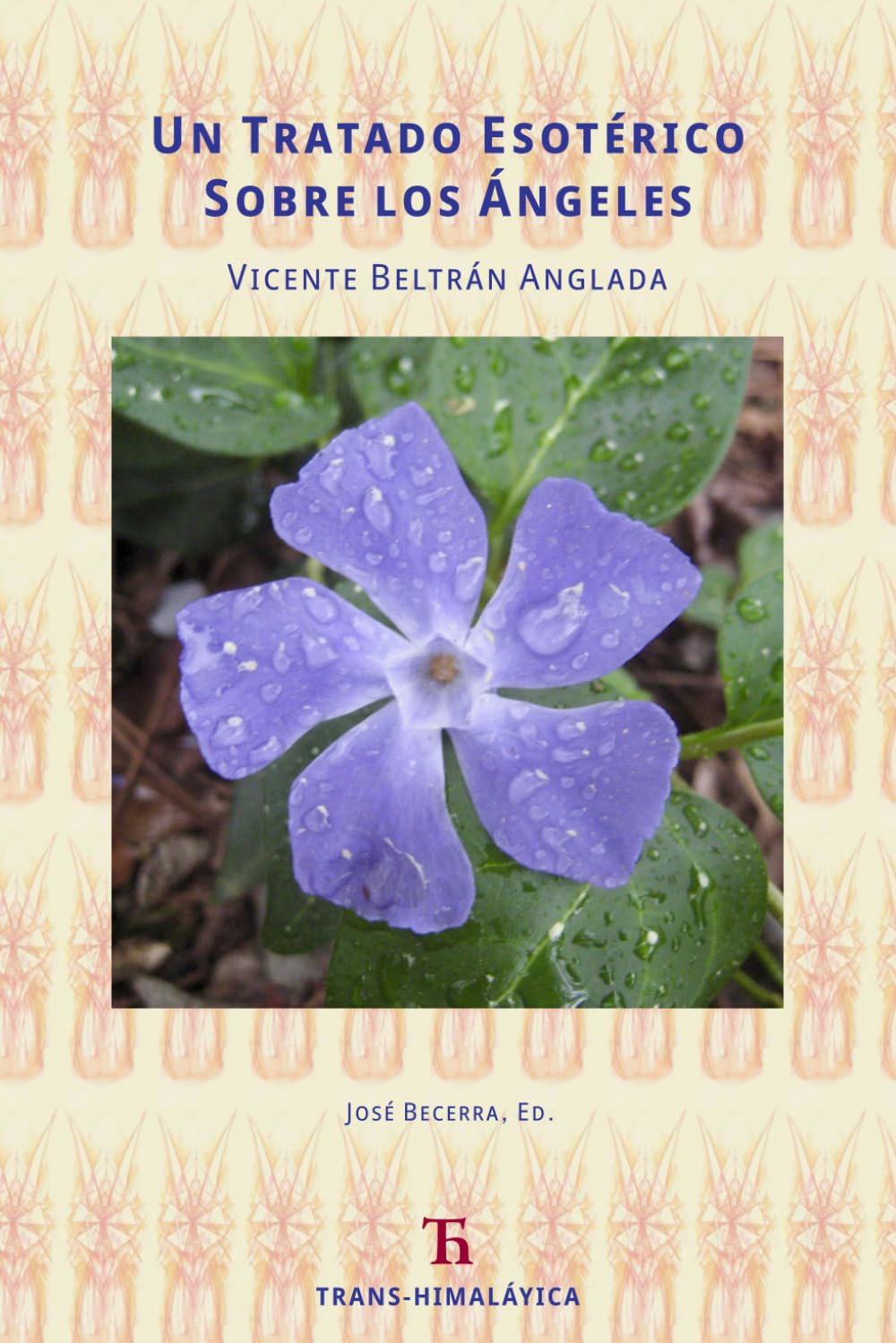 Libro: Un Tratado Esotérico Sobre Los Ángeles (Spanish Edition)