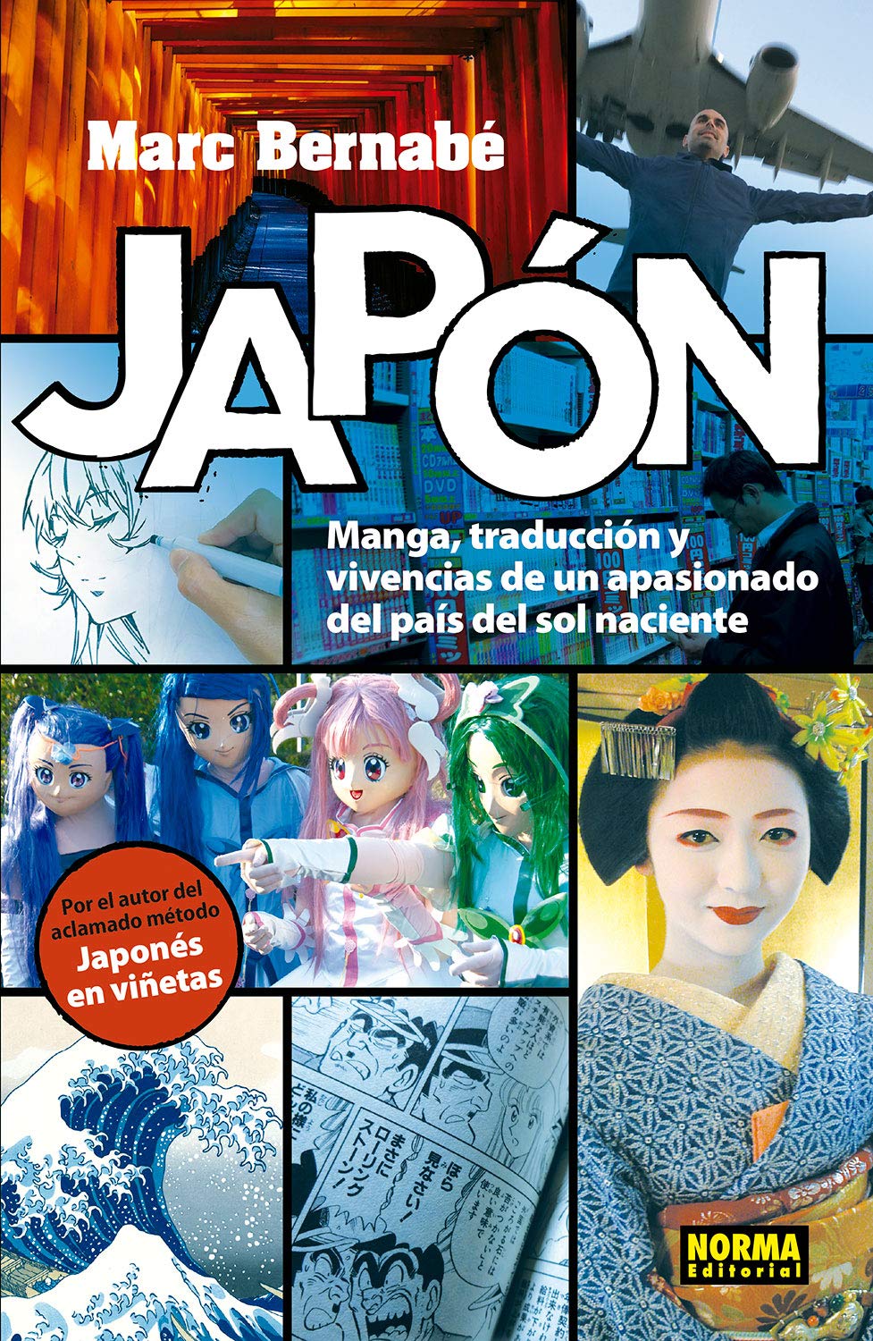 Libro: JAPON, MANGA, TRADUCCIÓN Y VIVENCIAS DE UN APASIONADO DEL PAÍS