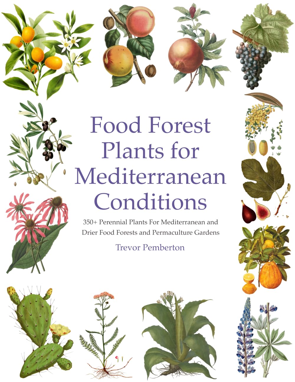 Libro: Food Forest Plants for Mediterranean Conditions: 350+ Perennial Plants For Mediterranean and Drier Food Forests and Permaculture Gardens