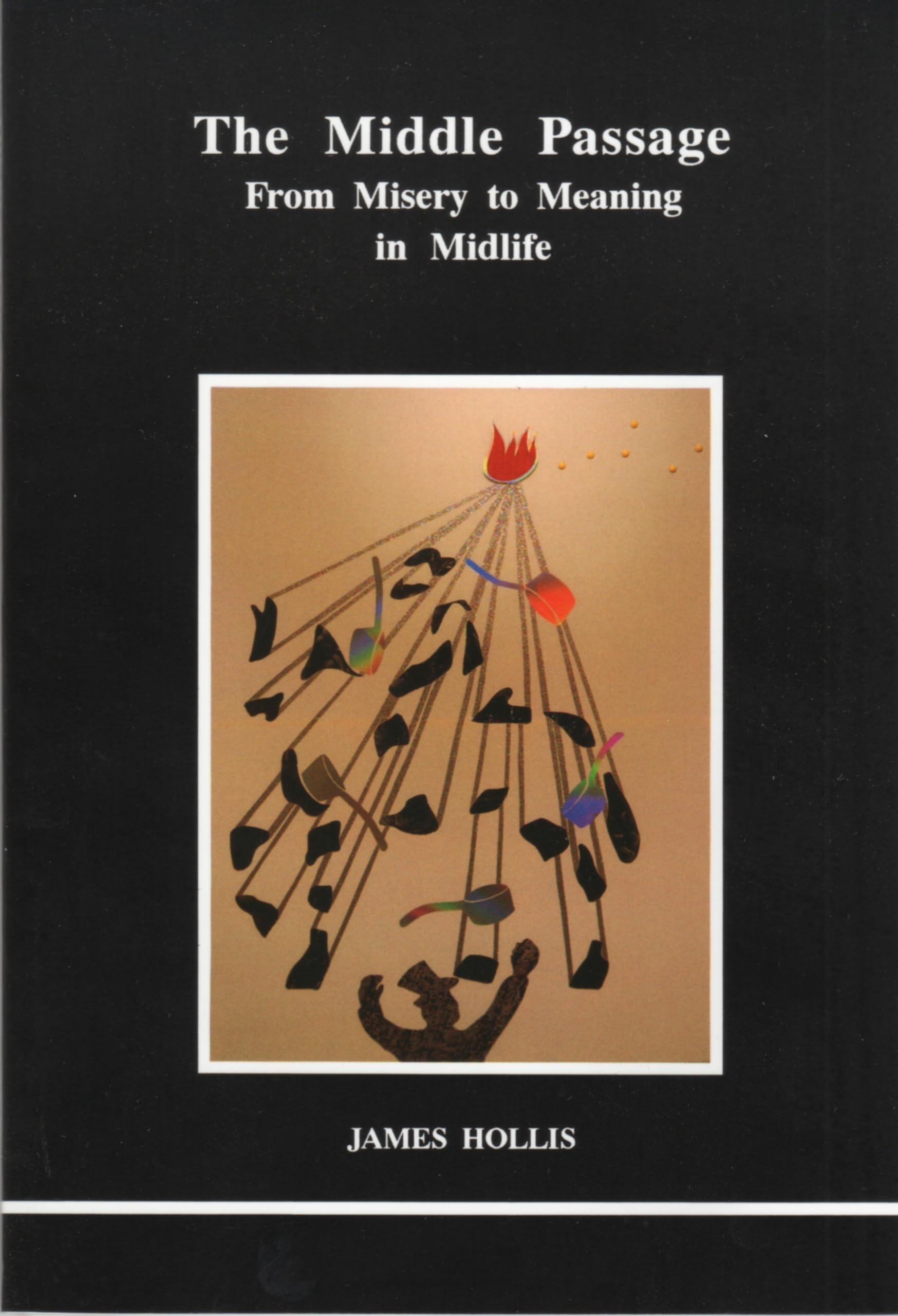 Libro: The Middle Passage: From Misery to Meaning in Midlife (STUDIES IN JUNGIAN PSYCHOLOGY BY JUNGIAN ANALYSTS)