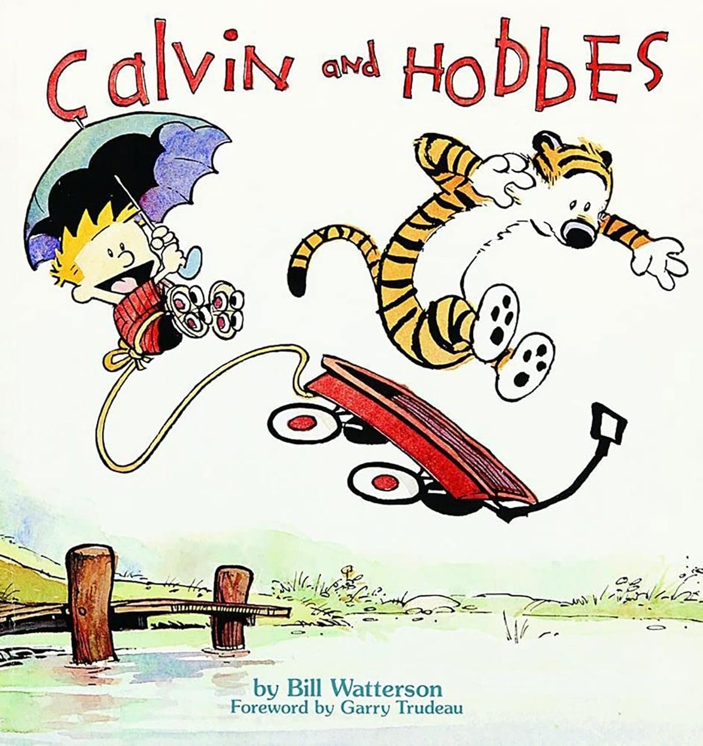 Libro: Calvin and Hobbes