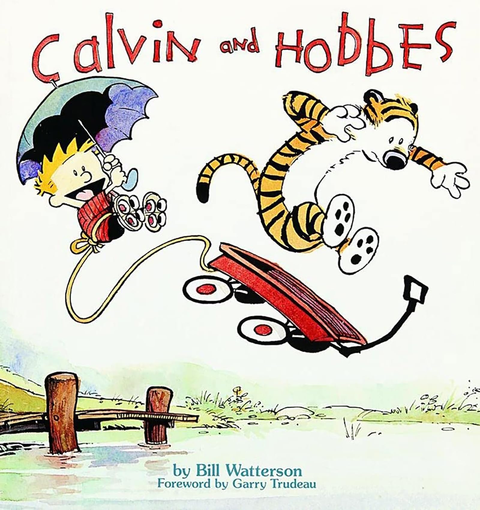 Libro: Calvin and Hobbes