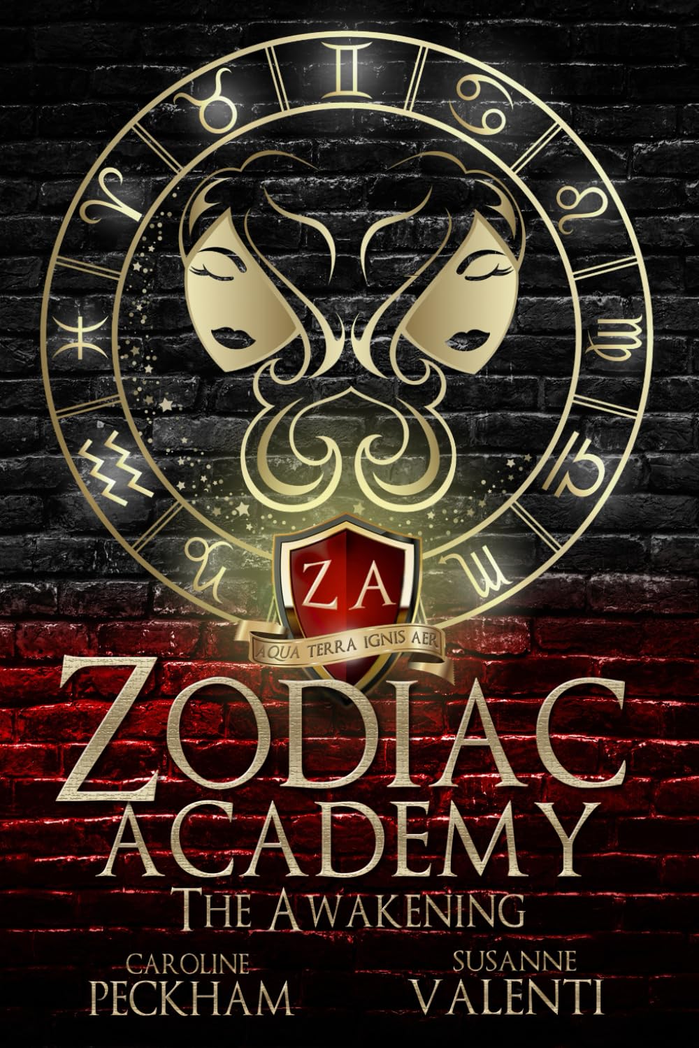 Zodiac Academy: The Awakening: 1