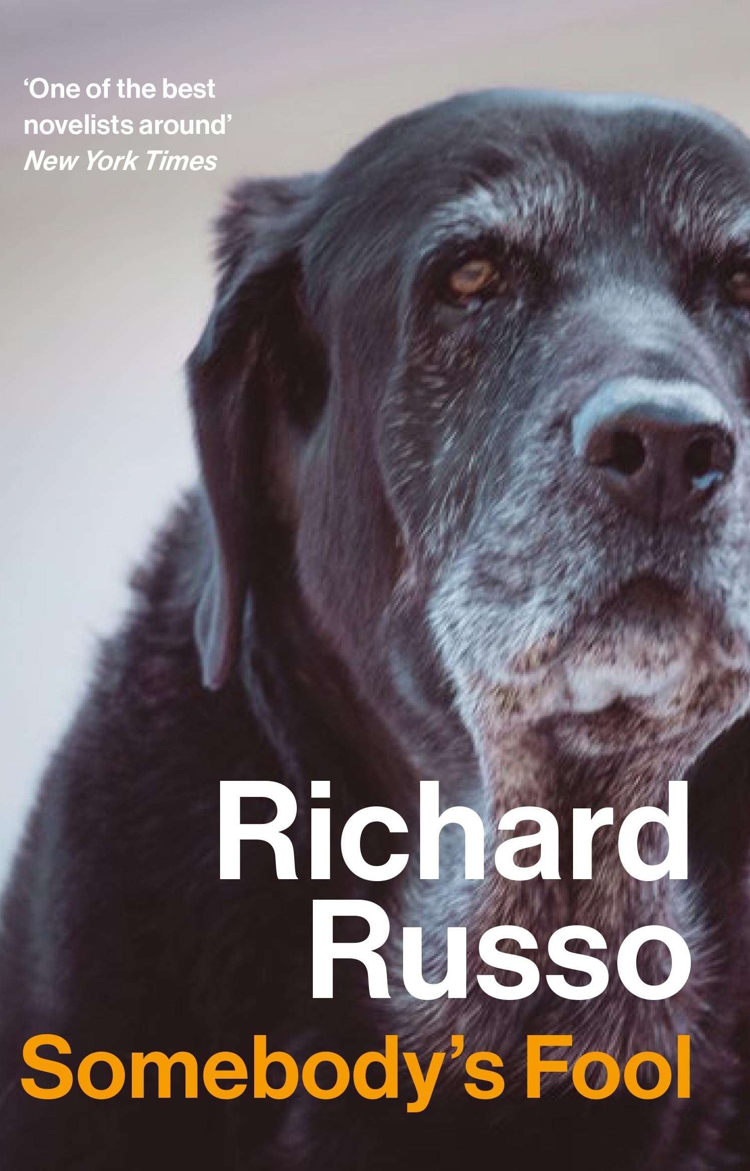 Libro: Somebody's Fool: Richard Russo