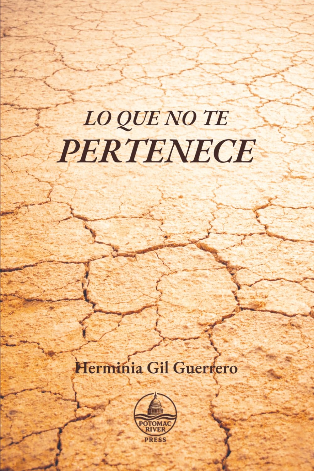 Libro: Lo que no te pertenece