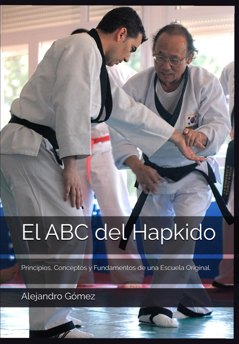 Libro: El ABC del Hapkido: Principios, Fundamentos y Conceptos de una Escuela Original. (Spanish Edition)