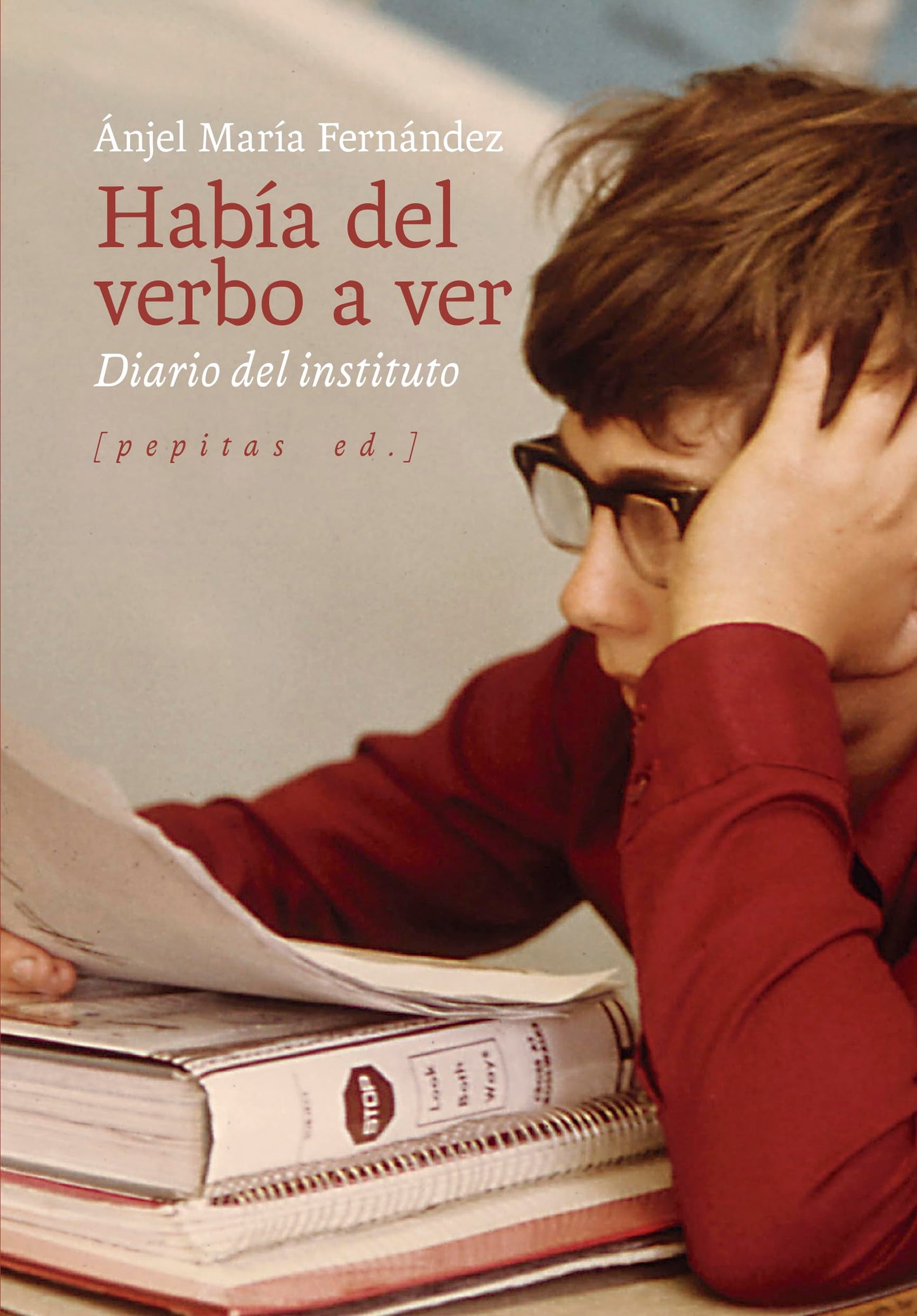 Libro: Había del verbo a ver: Diario del instituto