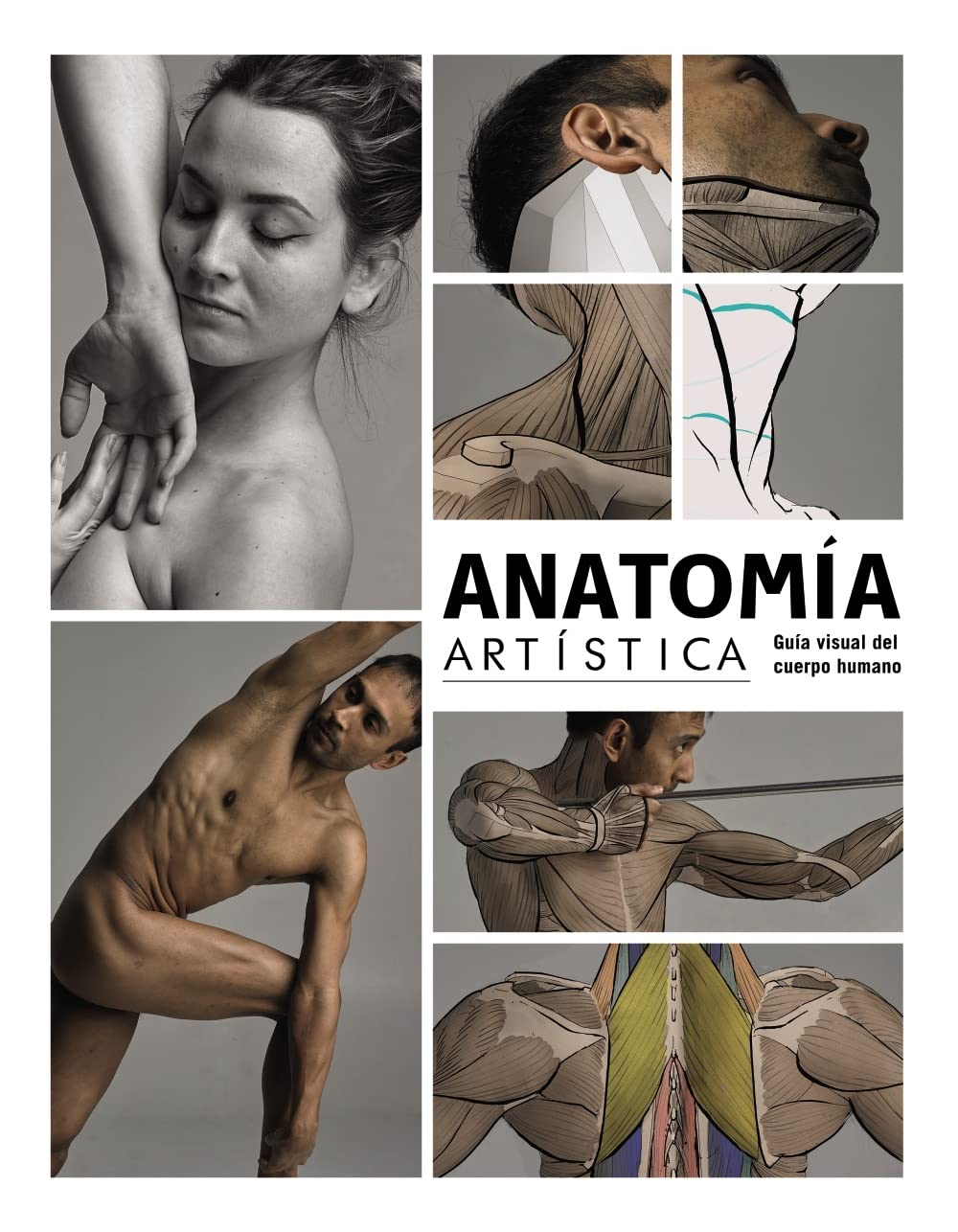Libro: Anatomía artística: Guía visual del cuerpo humano
