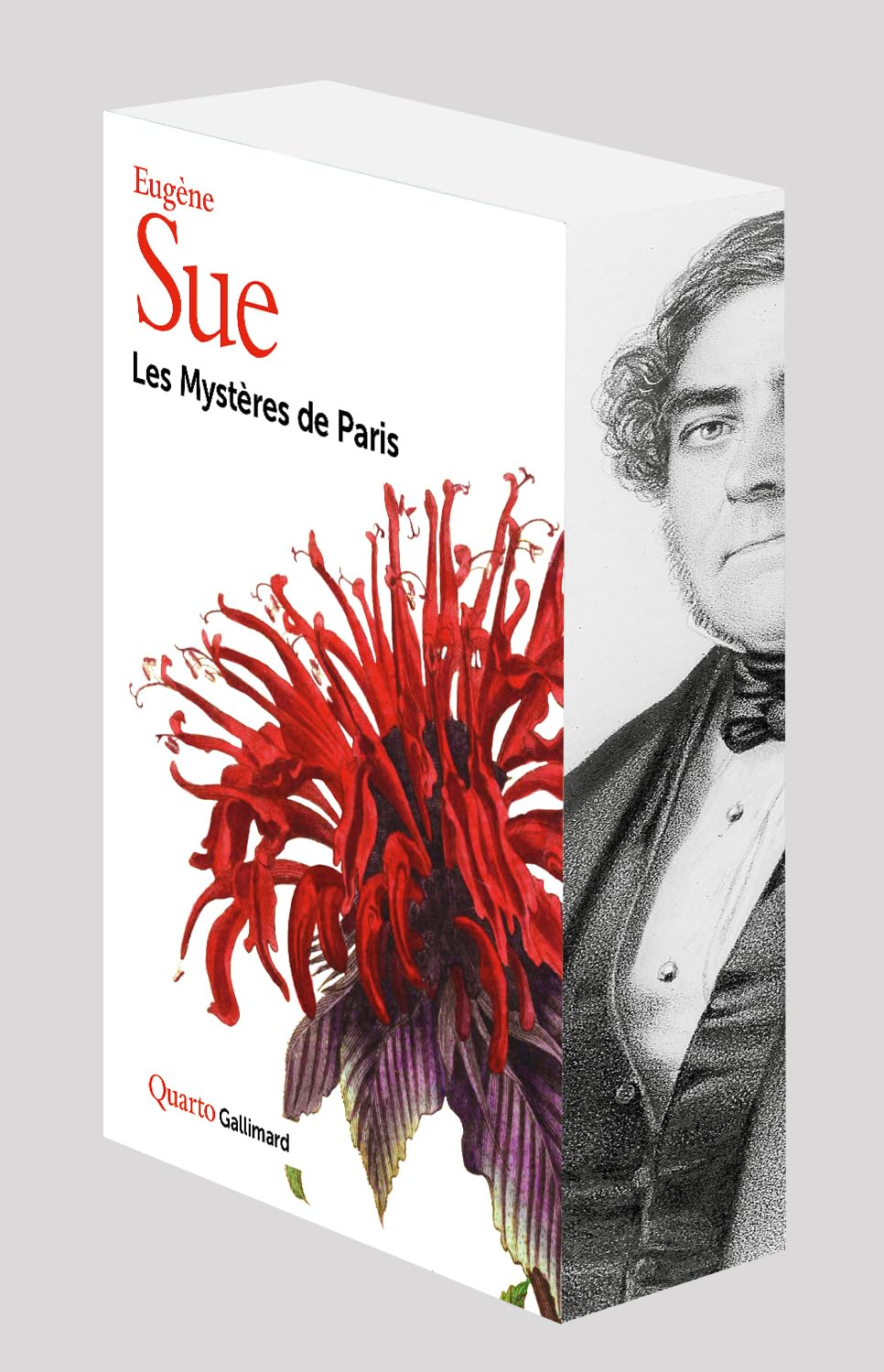 Libro: Les Mystères de Paris: Sous étui