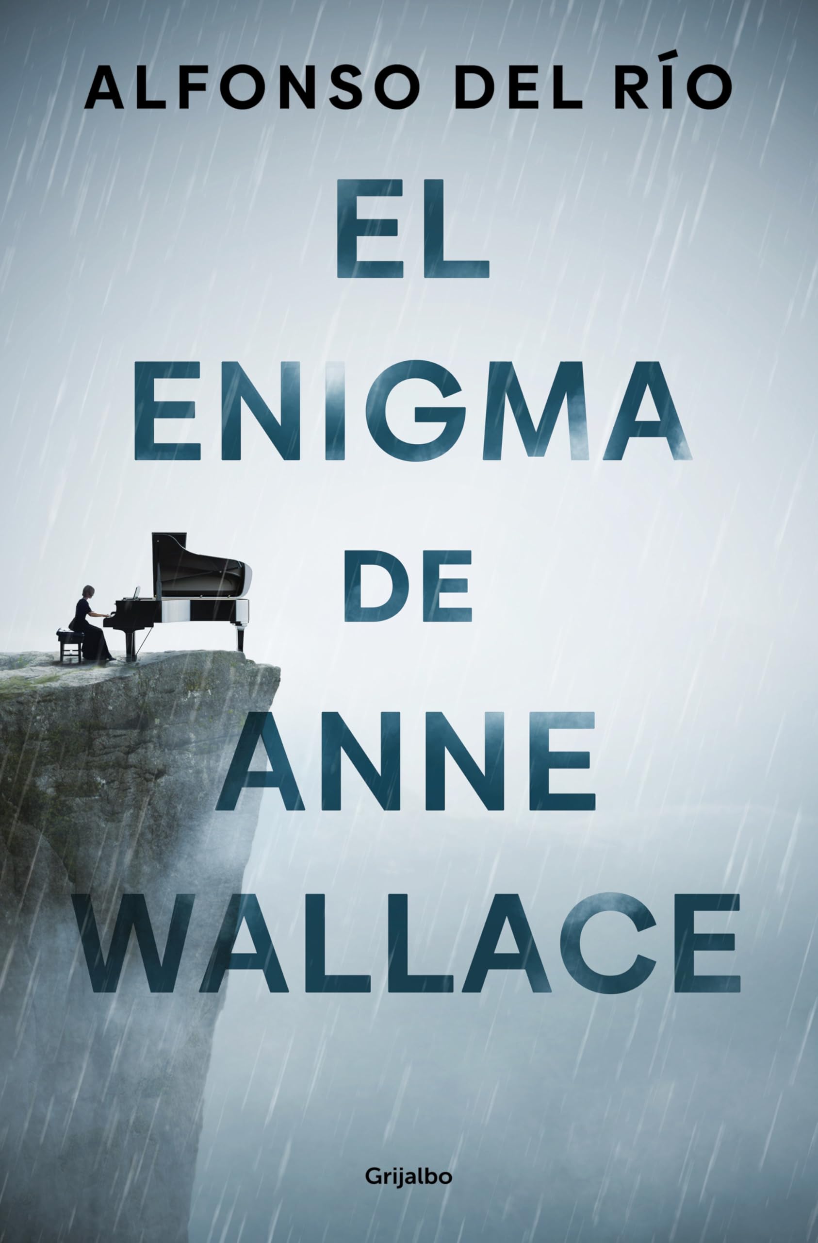 Libro: El enigma de Anne Wallace (Novela de intriga)