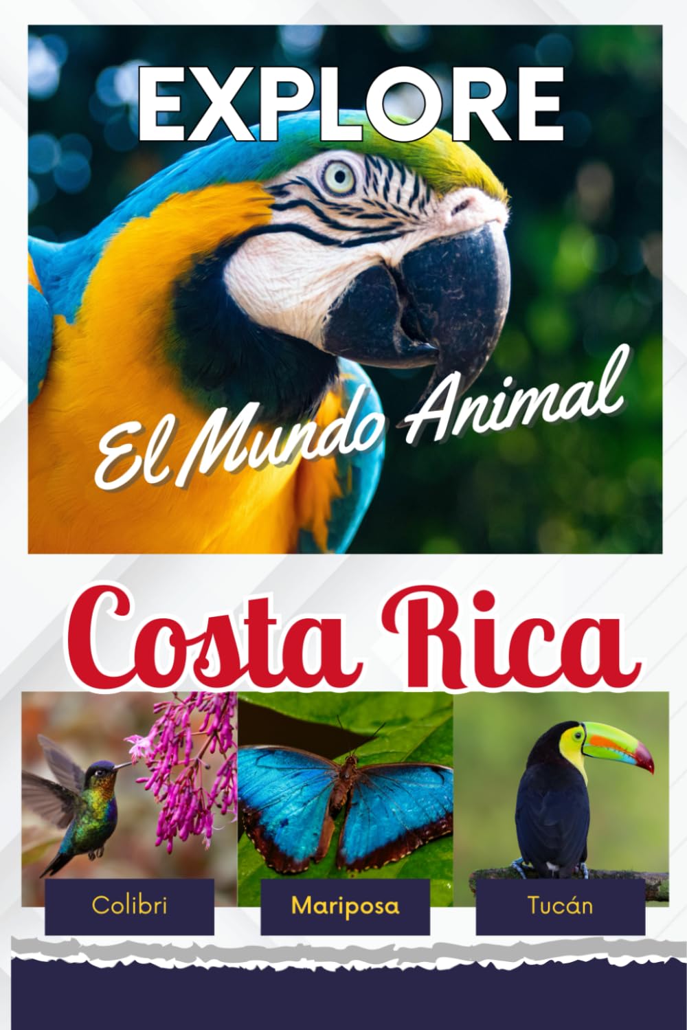 Libro: Explore el Mundo Animal de Costa Rica