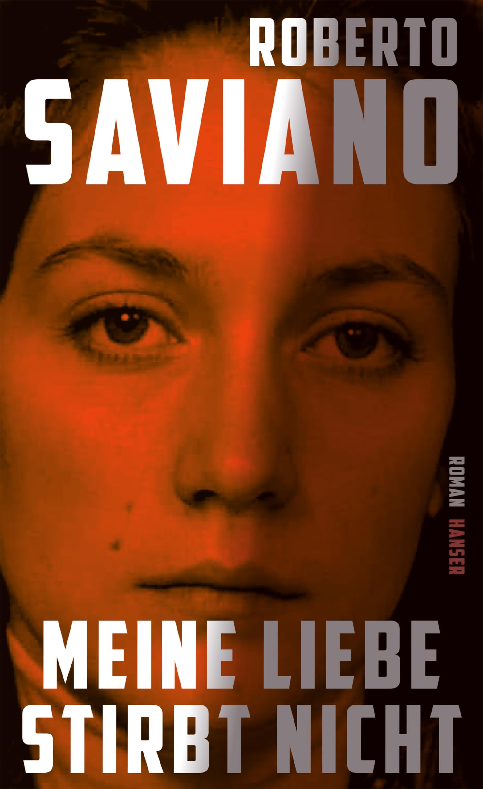 Libro: Meine Liebe stirbt nicht: Roman