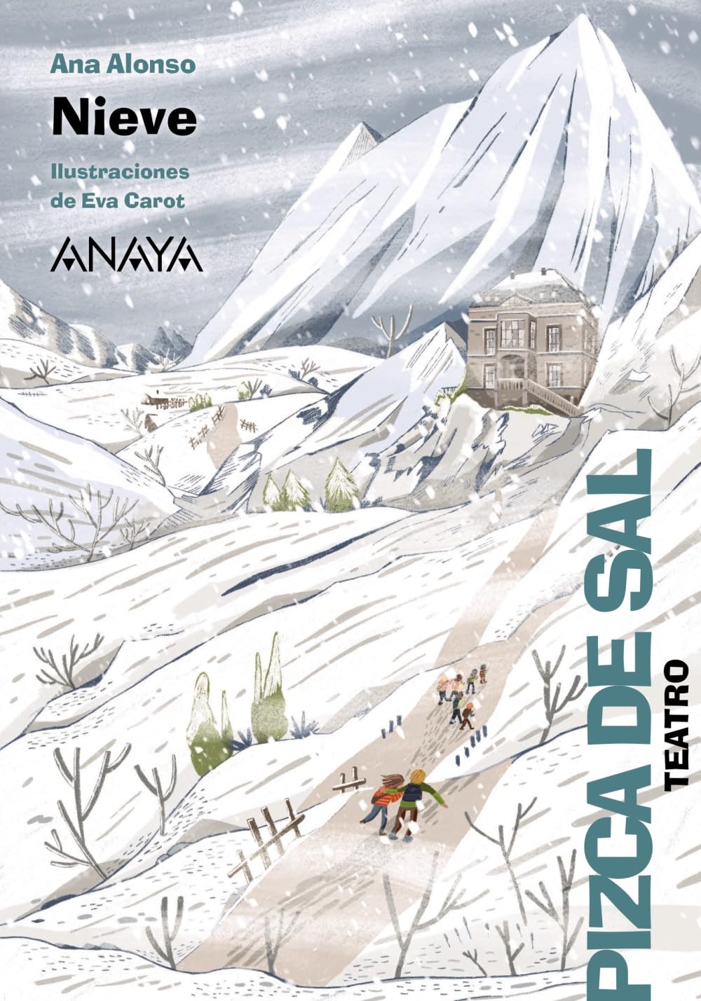 Libro: Nieve