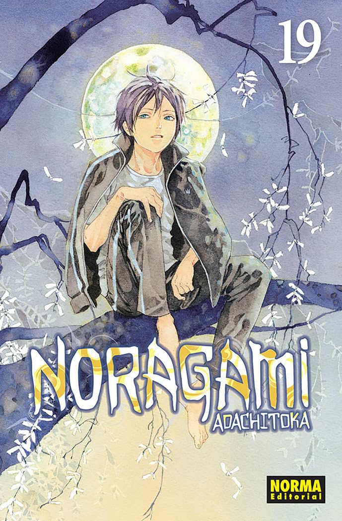 Libro: Noragami 19