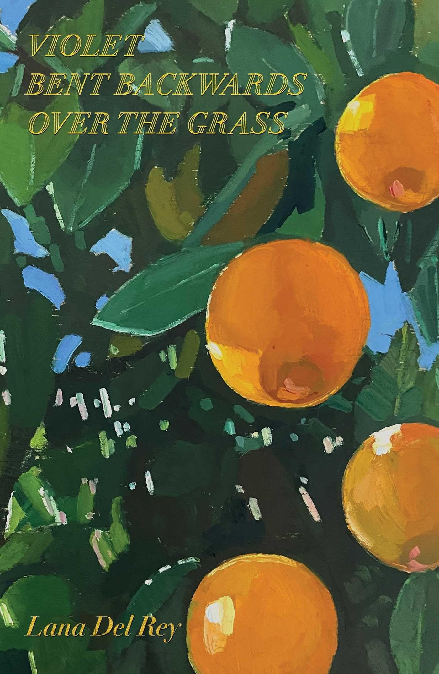 Libro: Violet bent backwards over the grass: Violet Bent Backwards Over the Grass