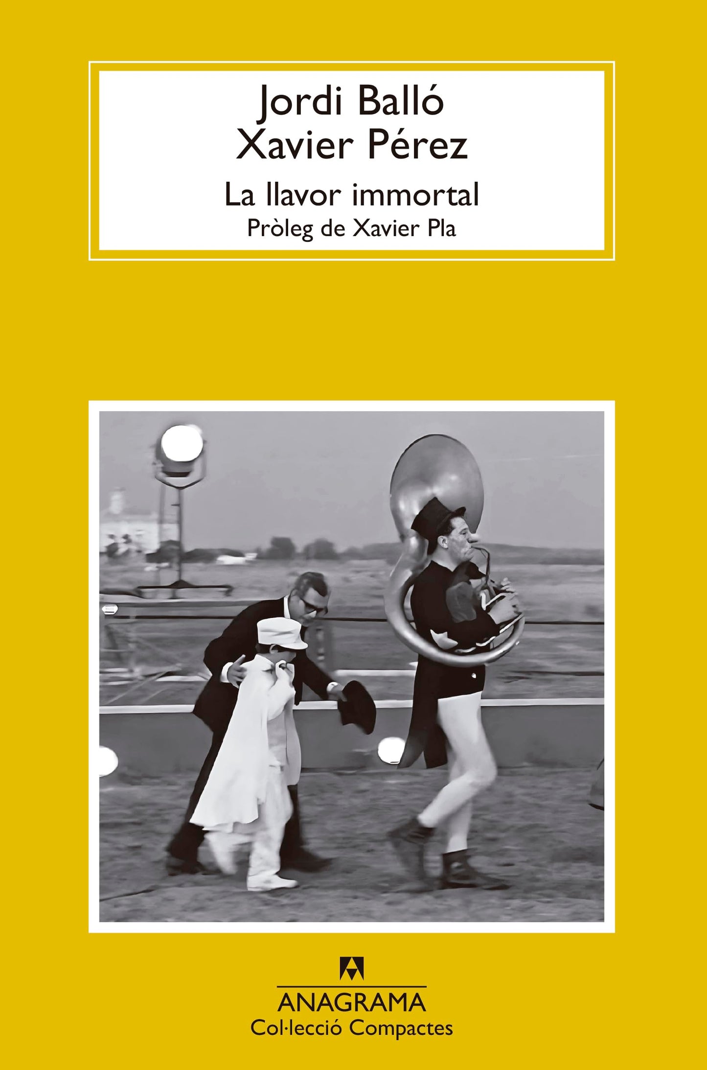 Libro: La llavor immortal (Compactos)