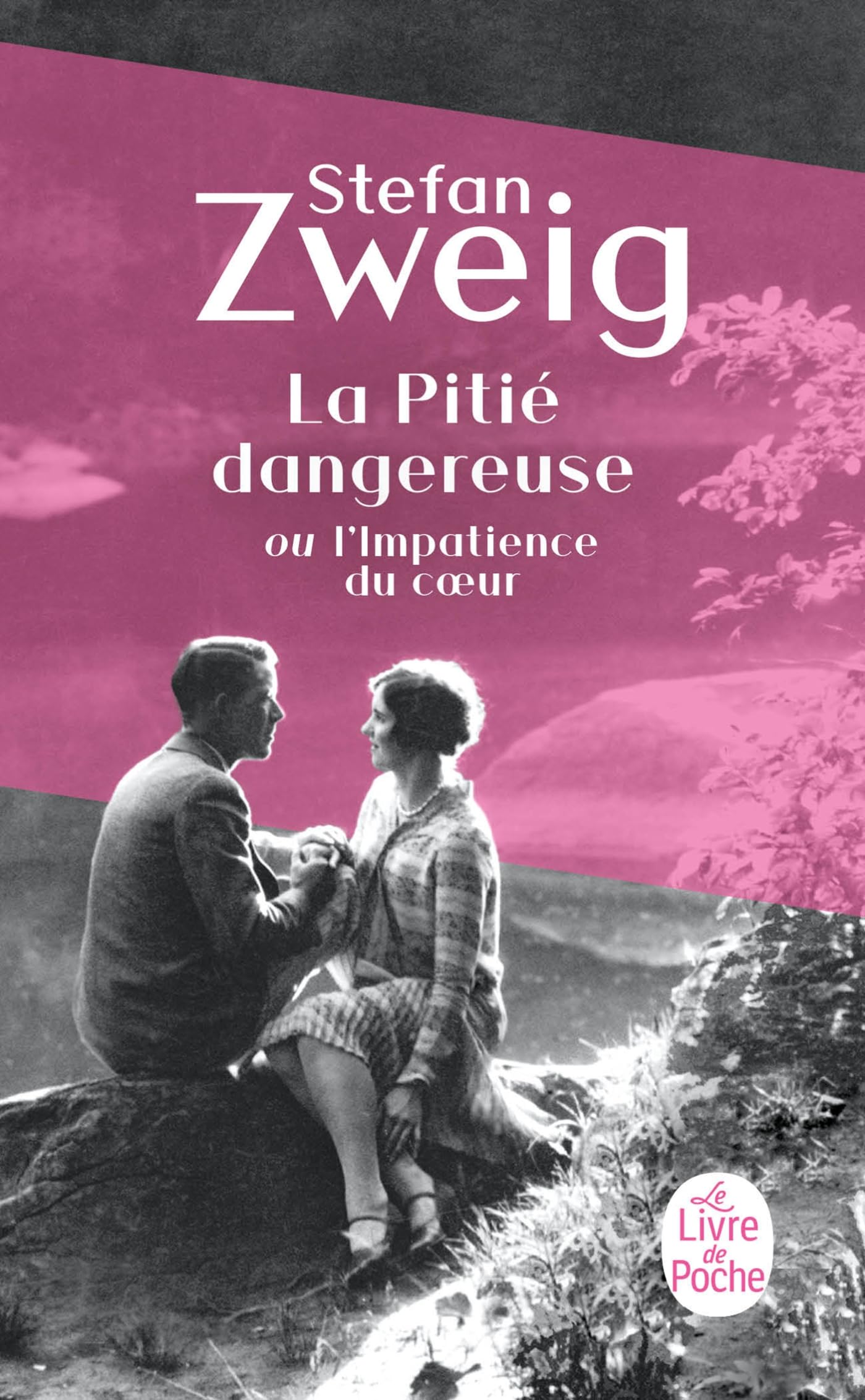 Libro: La Pitie Dangereuse (French Edition)