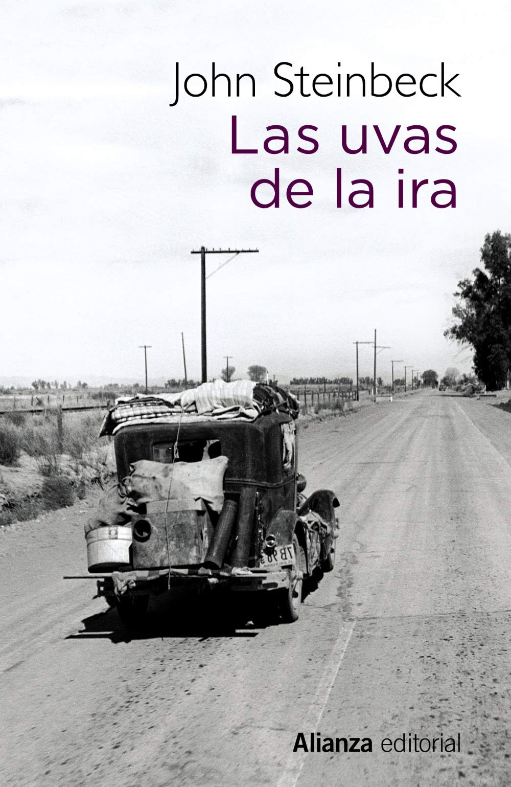 Las uvas de la ira (13/20)