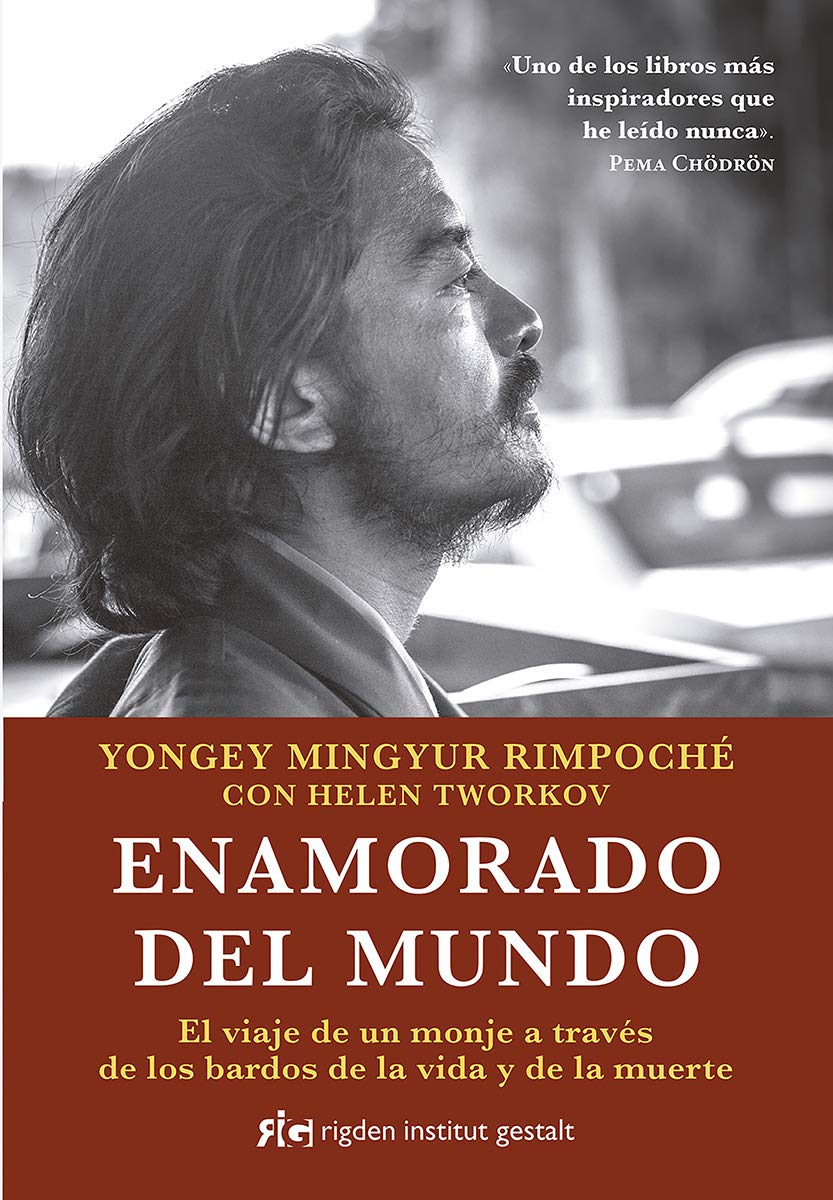 Libro: Enamorado del mundo. El viaje de un monje a traves de los bardos de la vida y de la muerte (SIN COLECCION)