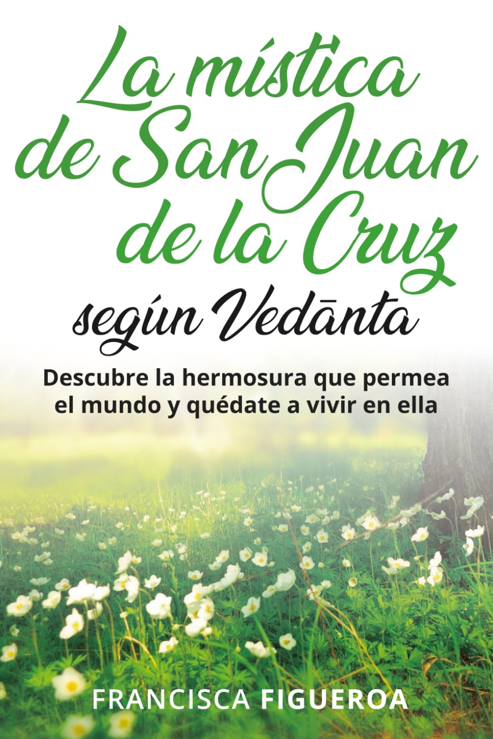 Libro: LA MÍSTICA DE SAN JUAN DE LA CRUZ SEGÚN VEDANTA: Descubre la hermosura que permea el mundo y quédate a vivir en ella