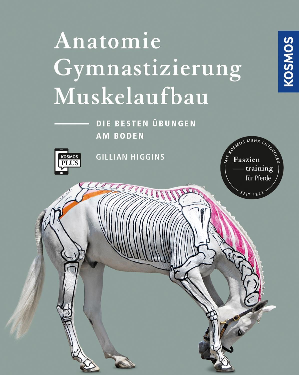 Libro: Anatomie, Gymnastizierung, Muskelaufbau: Die besten Übungen für Pferde am Boden