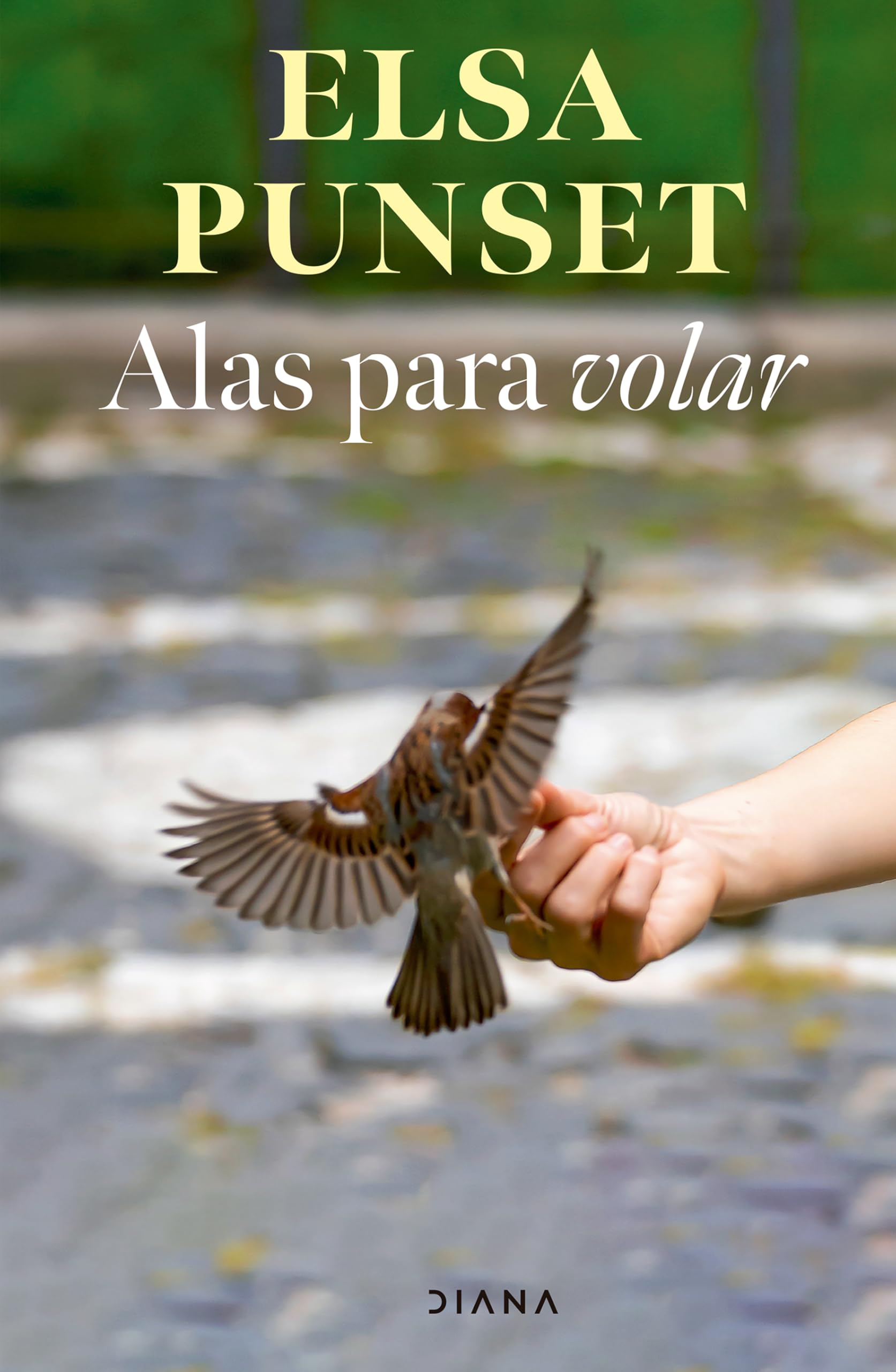 Libro: Alas para volar / Wings for Fly (Spanish Edition)