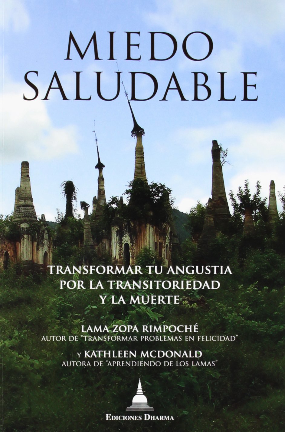 Libro: Miedo Saludable (SIN COLECCION)