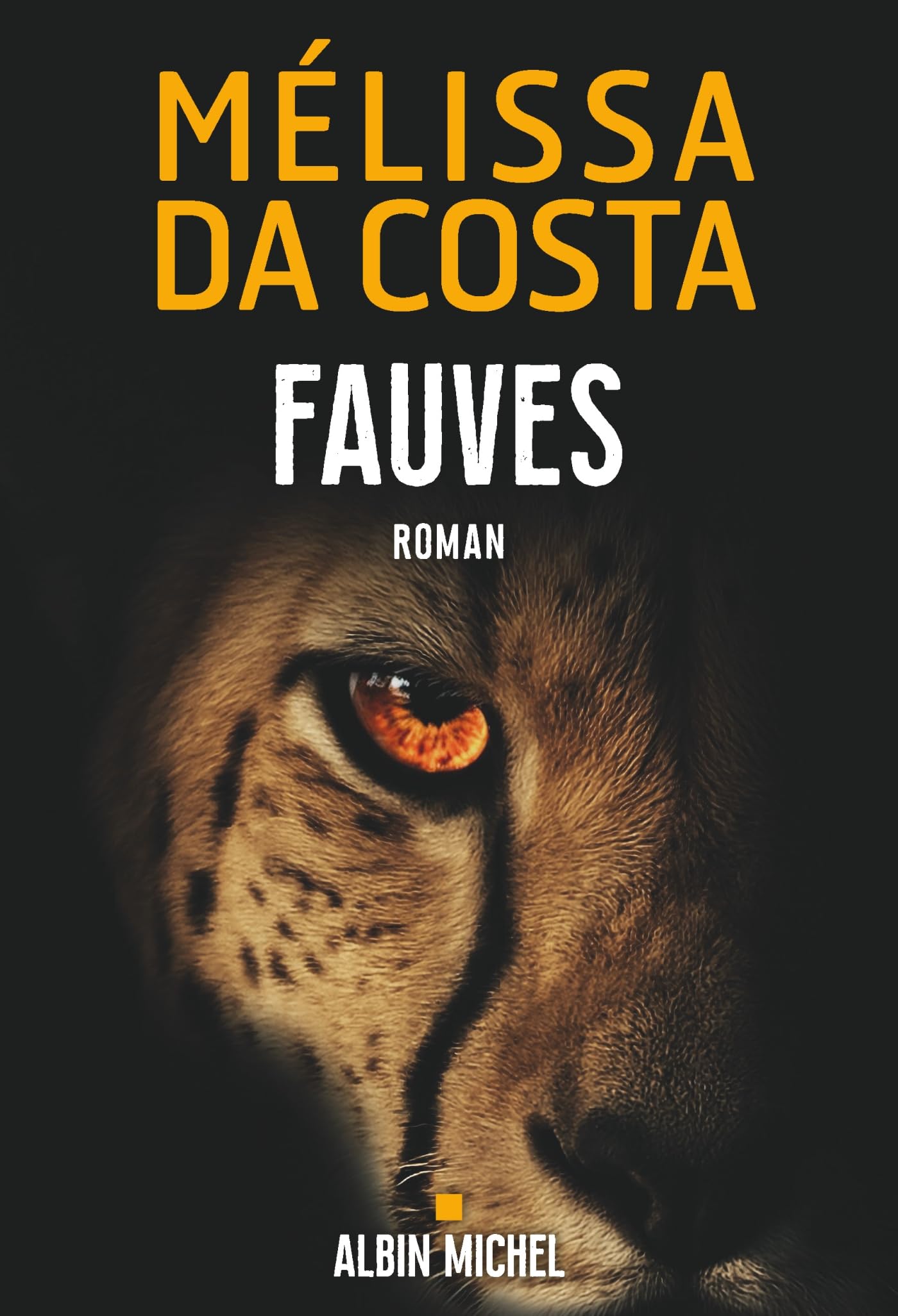 Libro: Fauves