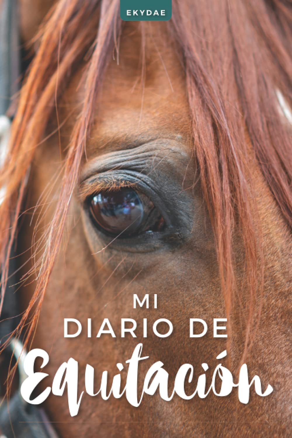 Libro: Mi Diario de Equitación: Bitácora de trabajo ecuestre a rellenar | Regalo para jinete/amazona | Planificador ecuestre