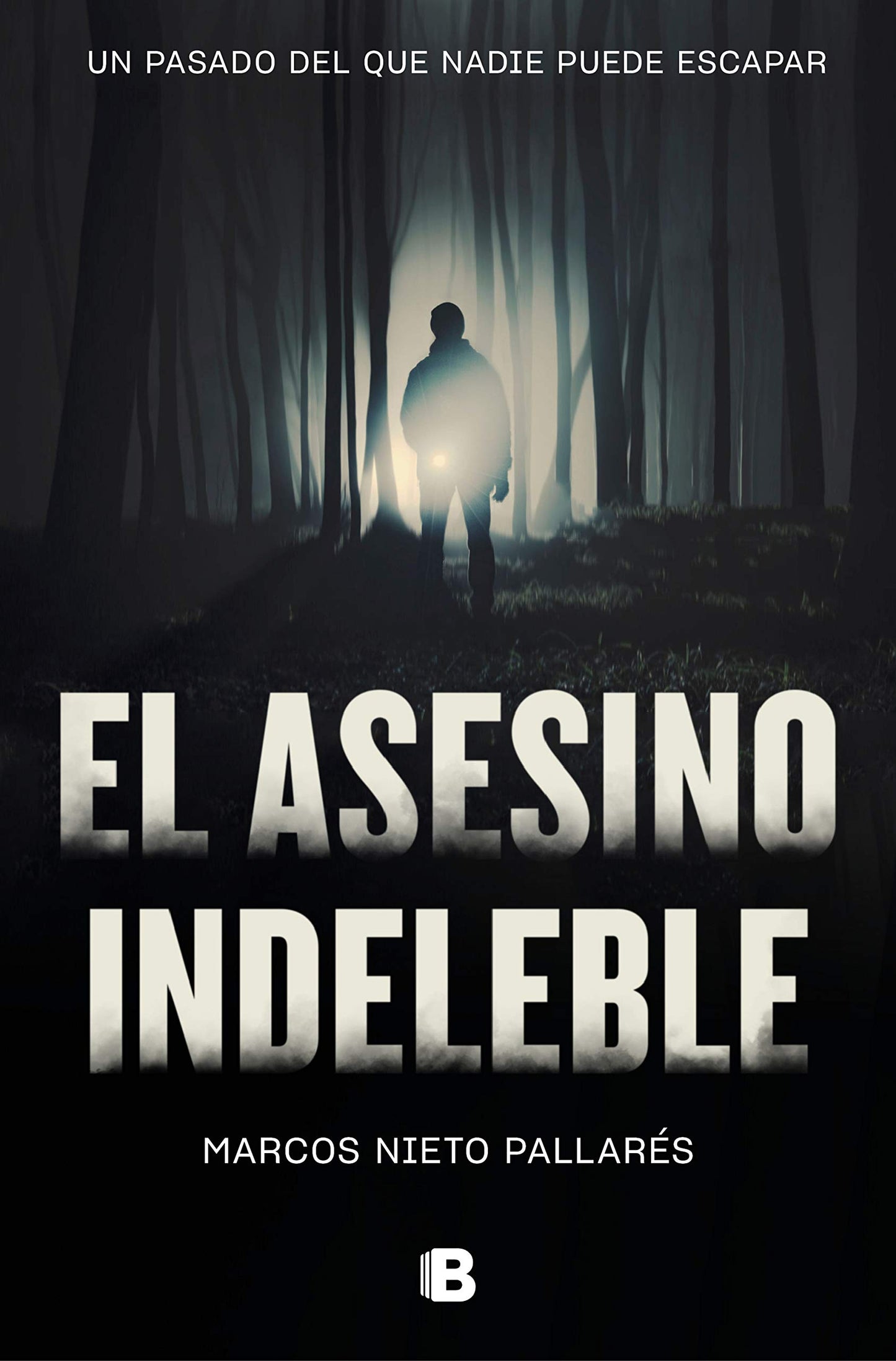 Libro: El asesino indeleble (La Trama)