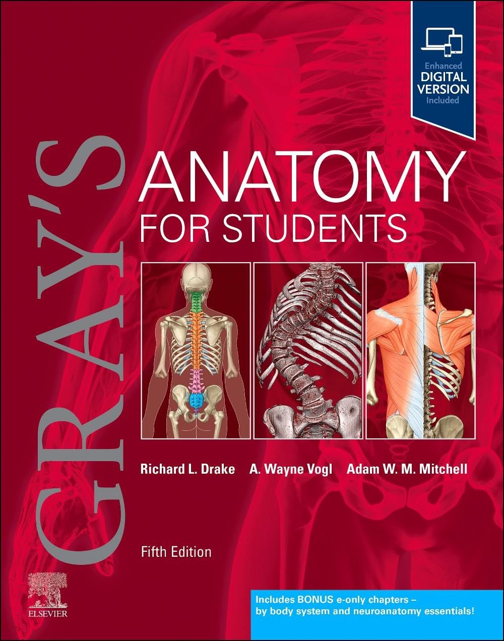 Libro: Gray's Anatomy for Students