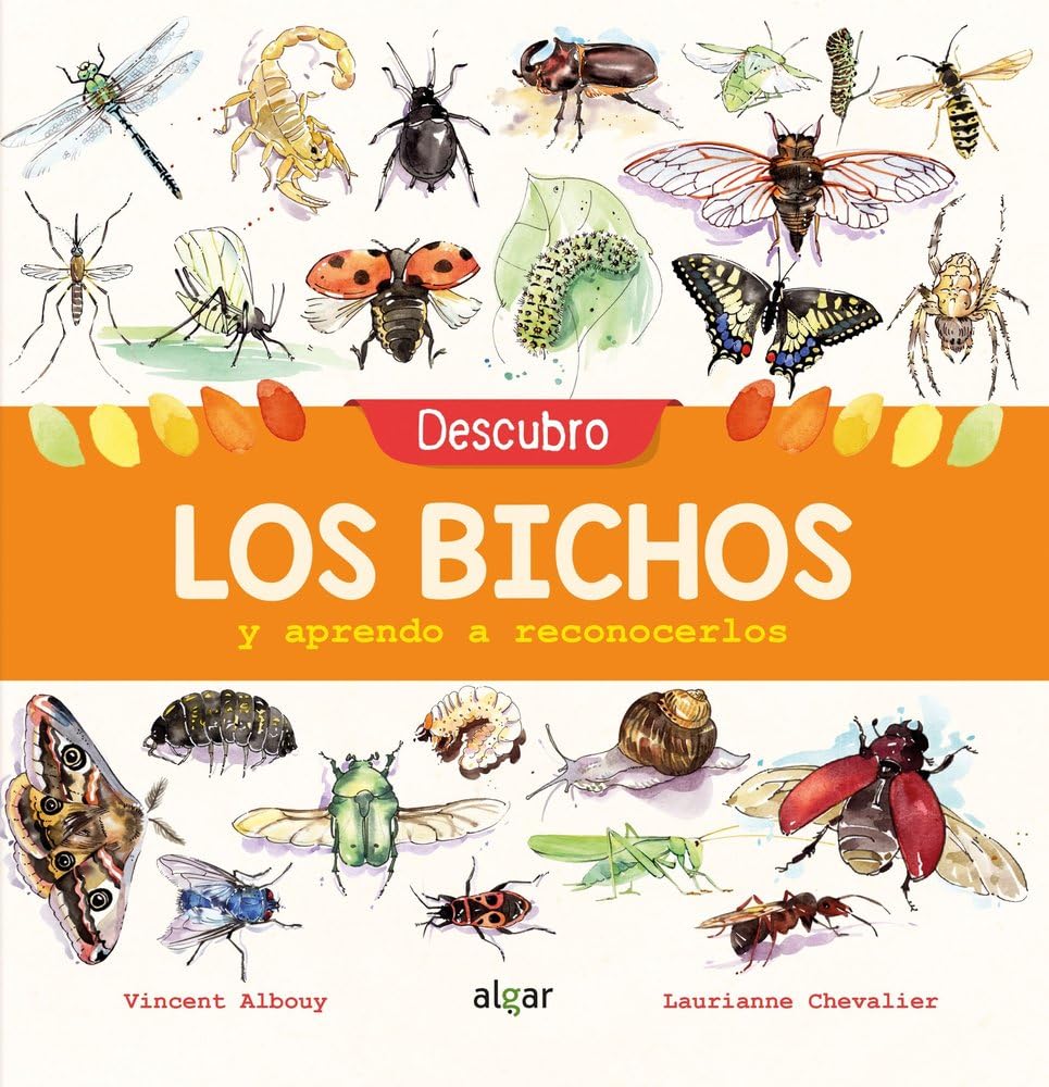 Libro: Descubro los bichos y aprendo a reconocerlos: 102 (Descubriendo el mundo)