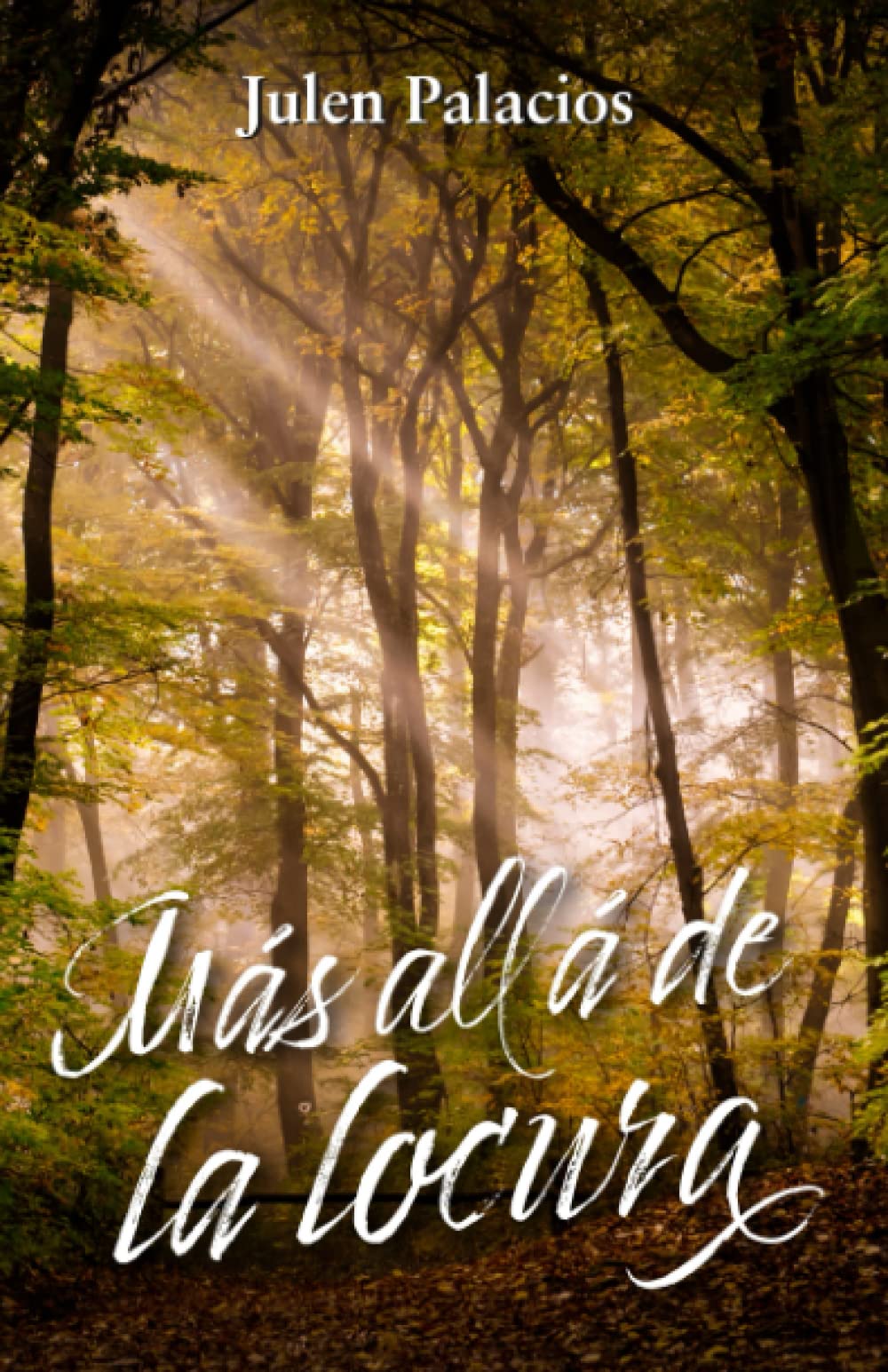 Libro: Más allá de la locura