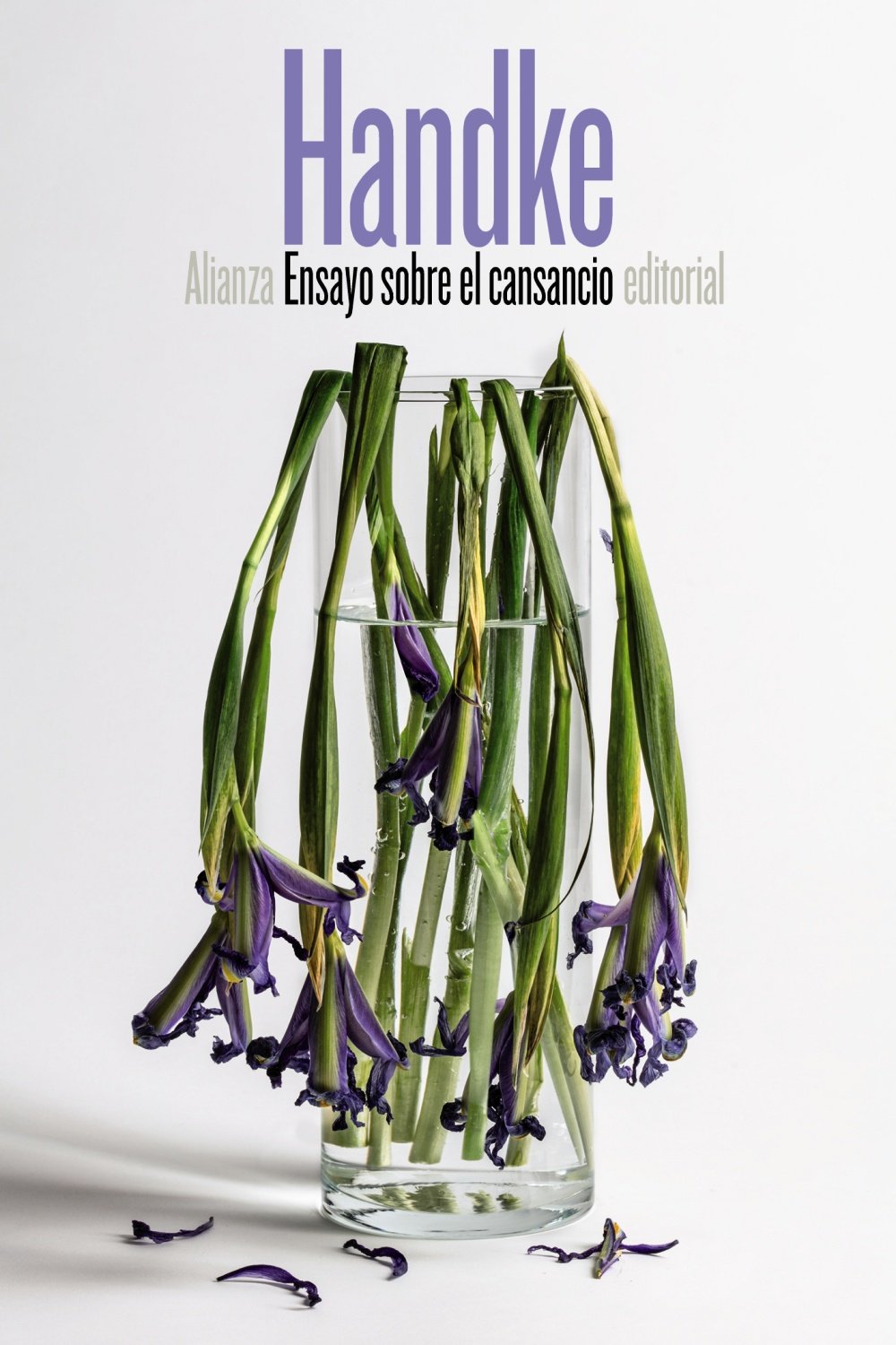 Libro: Ensayo sobre el cansancio