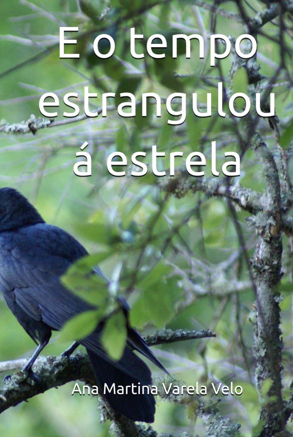 Libro: E o tempo estrangulou á estrela