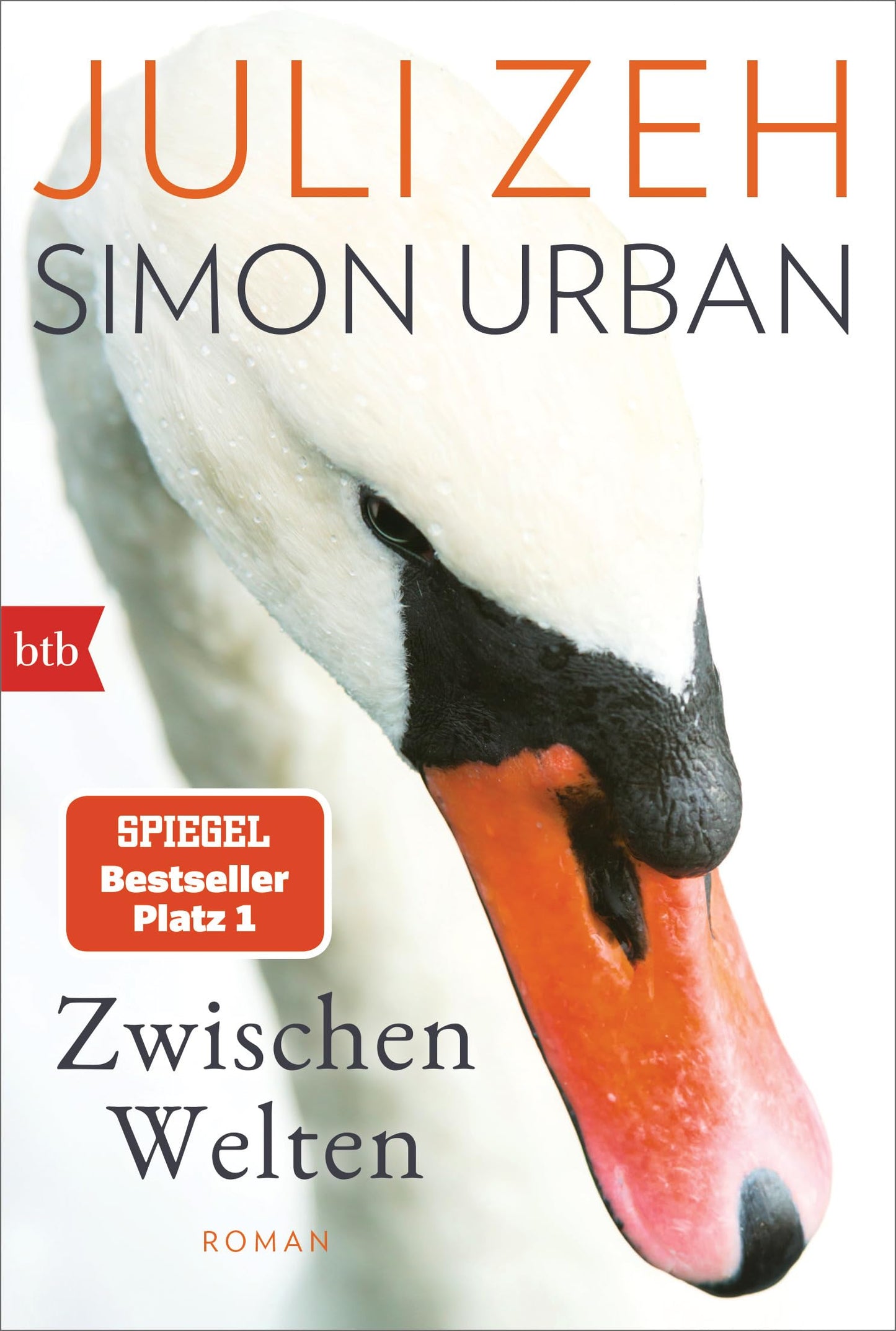 Libro: Zwischen Welten: Roman
