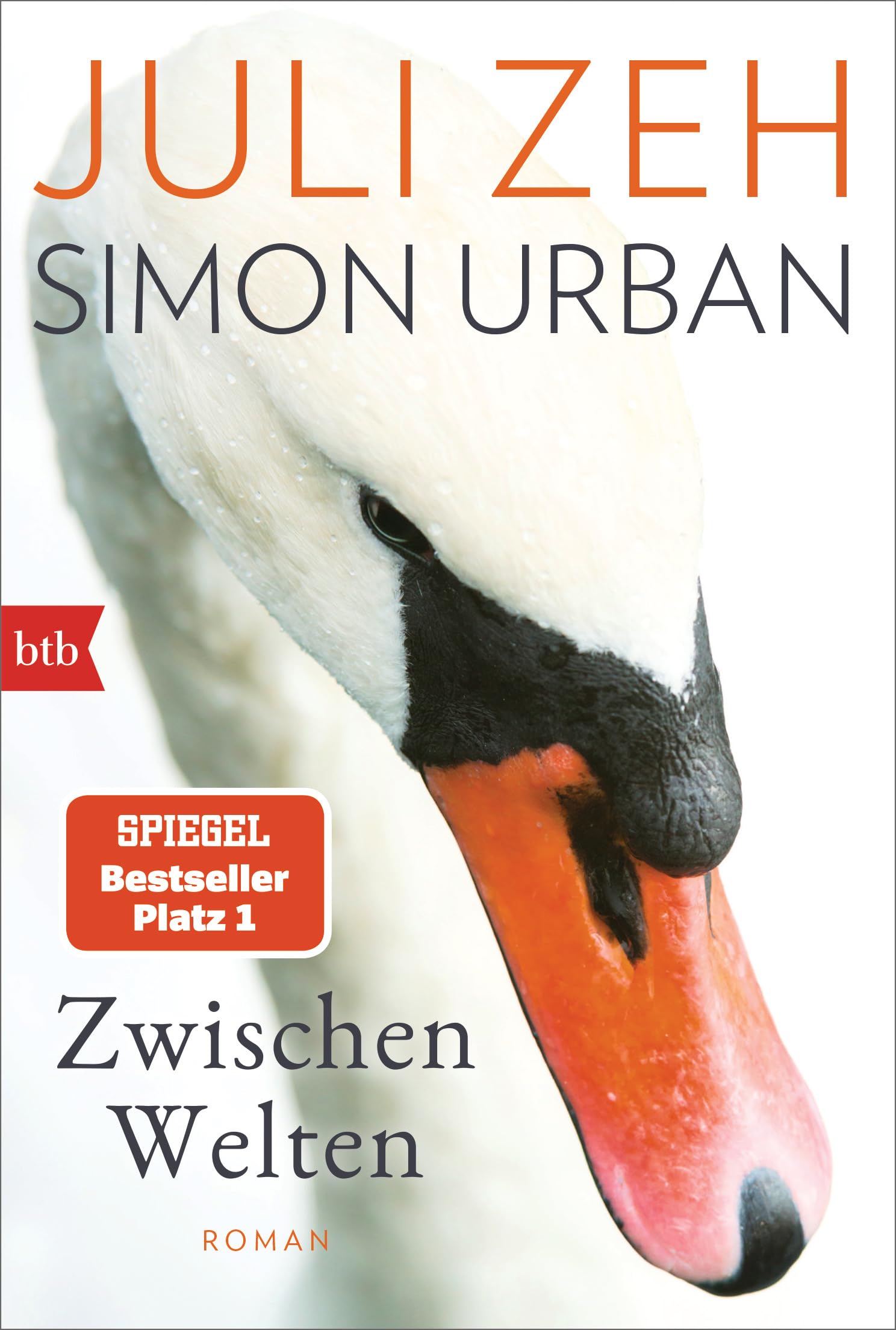 Libro: Zwischen Welten: Roman